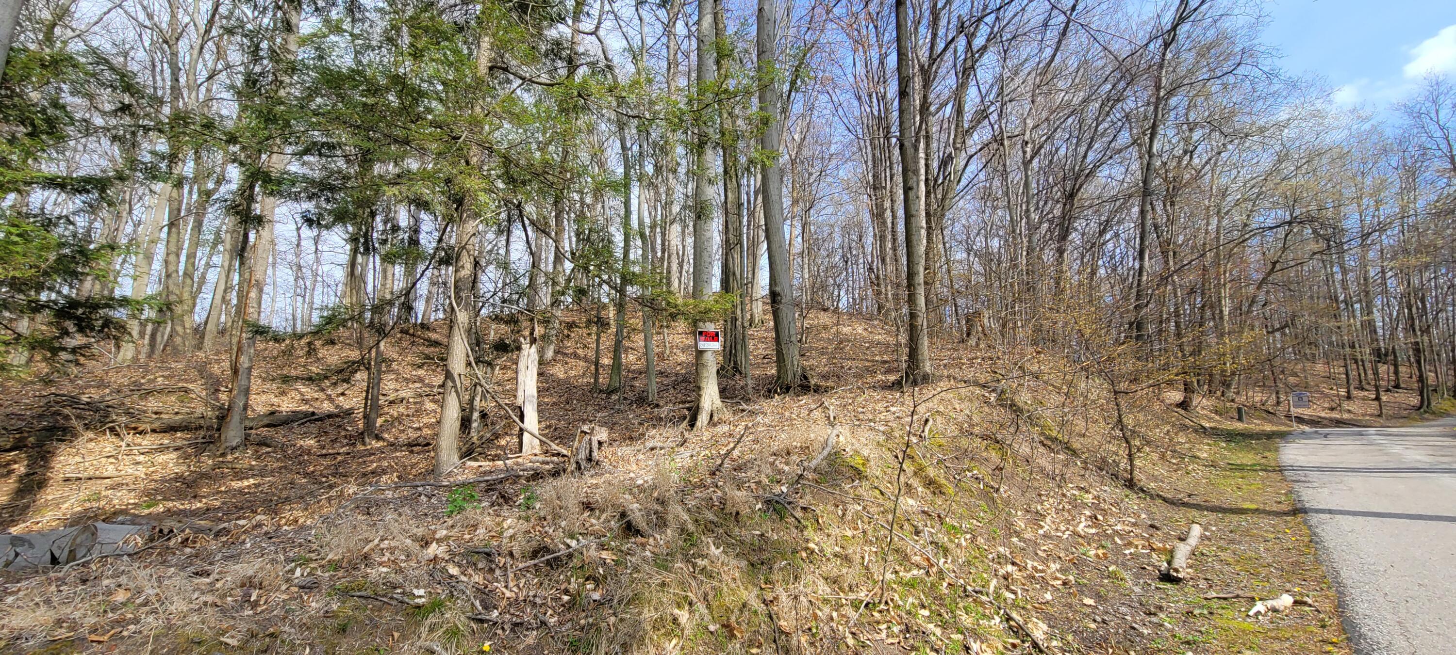 0 Lot 21 Sable Point Drive, 21