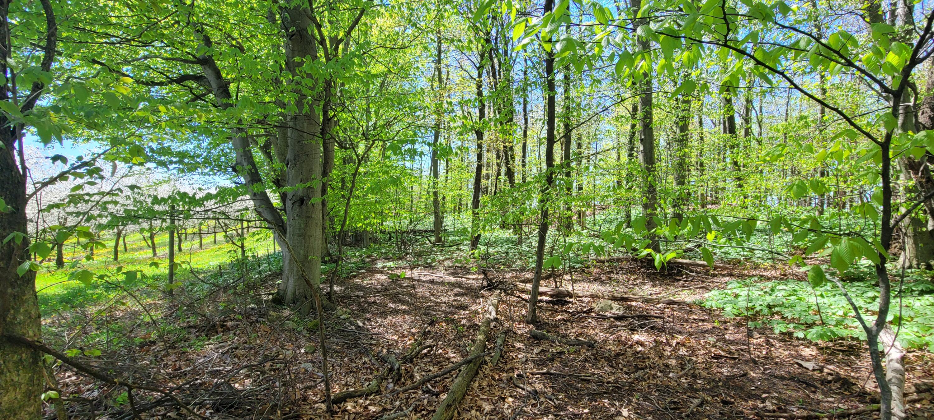 0 Lot 21 Sable Point Drive, 21