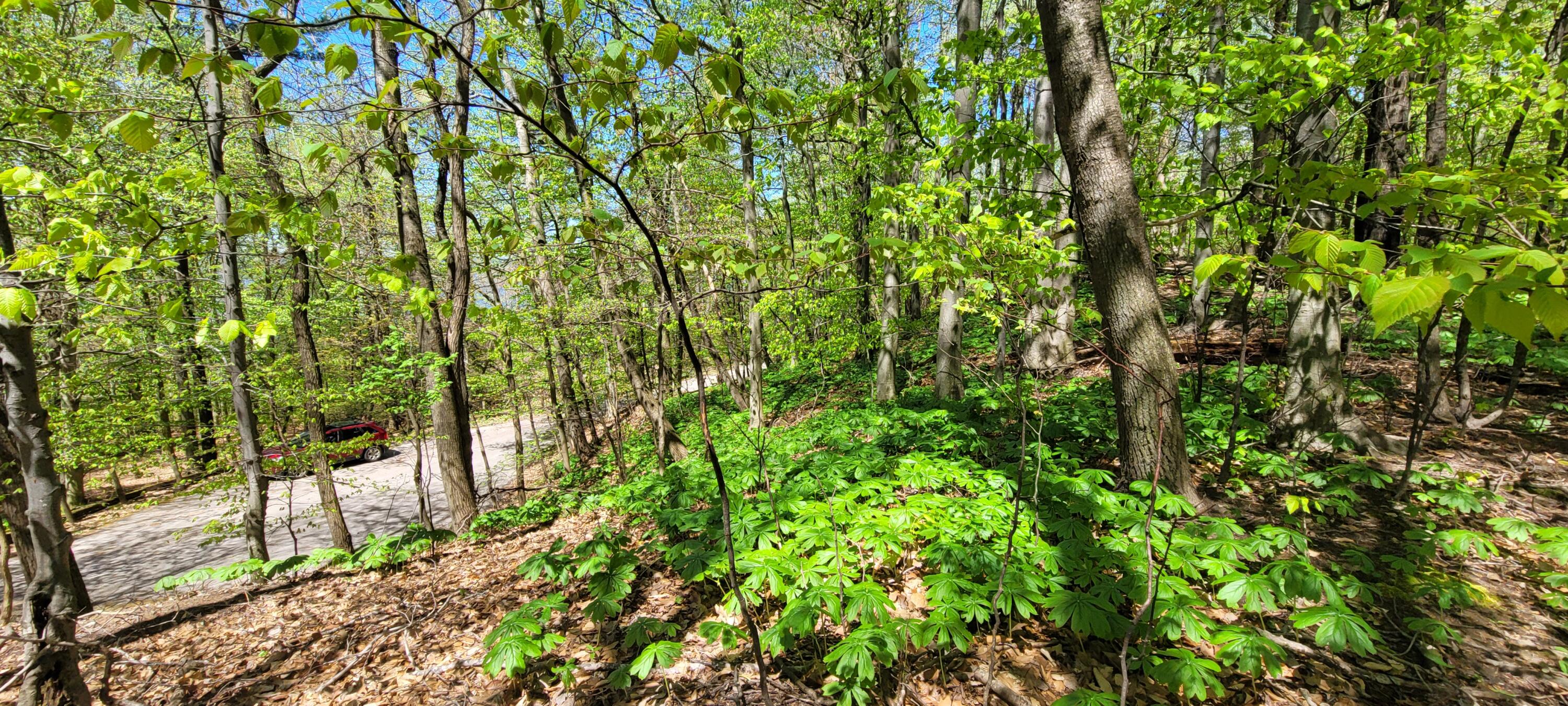 0 Lot 21 Sable Point Drive, 21