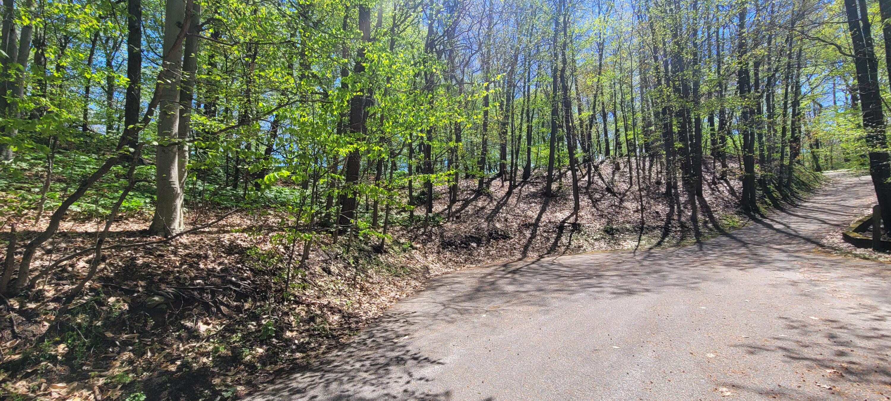 0 Lot 21 Sable Point Drive, 21