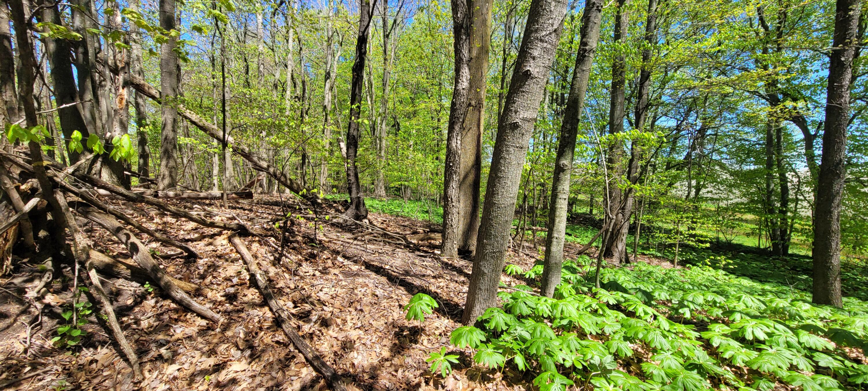 0 Lot 21 Sable Point Drive, 21