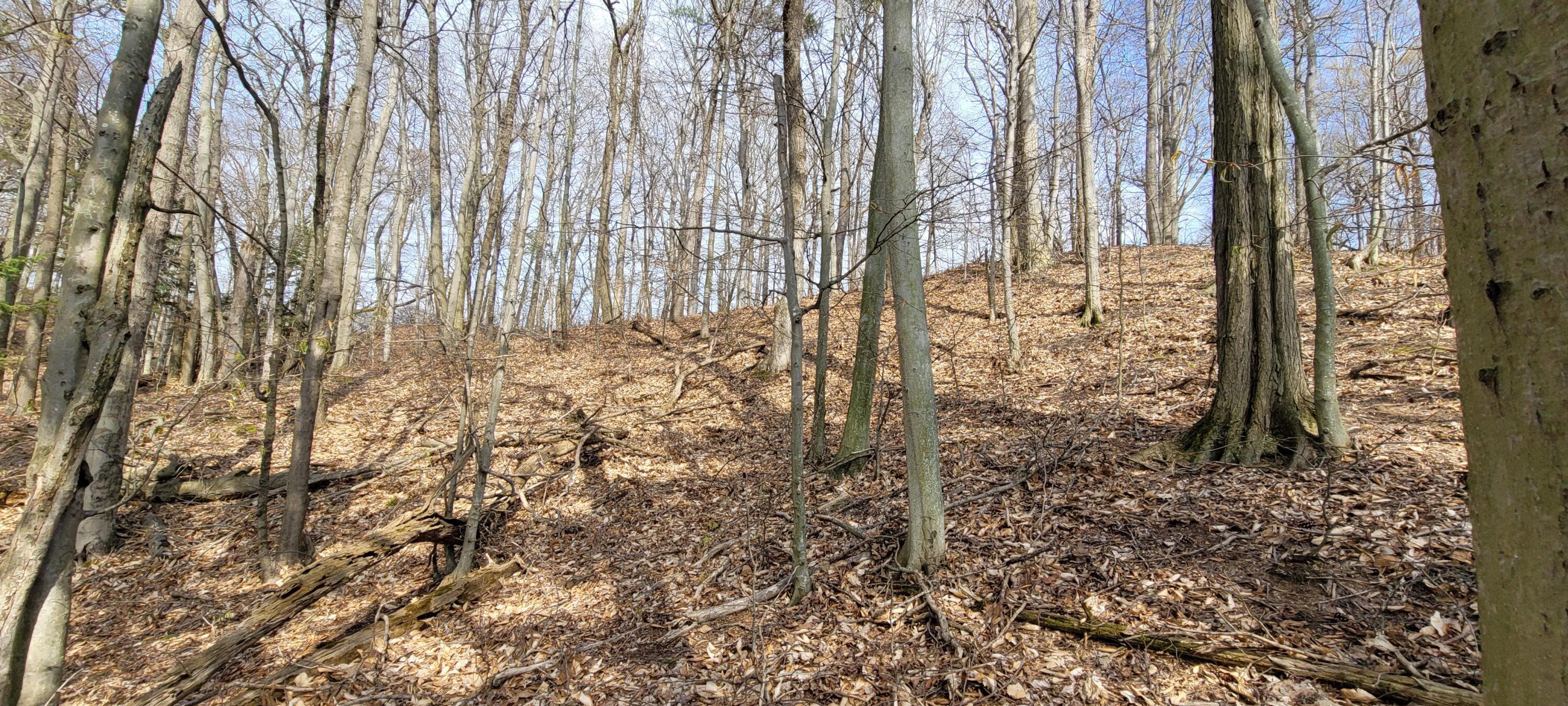 0 Lot 21 Sable Point Drive, 21