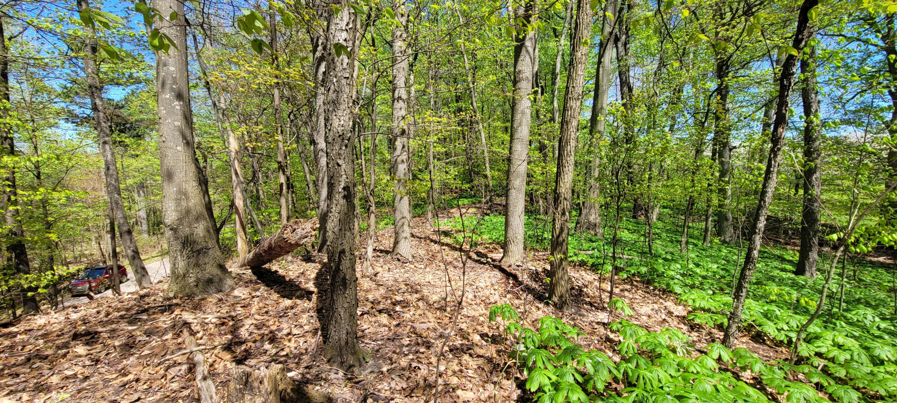 0 Lot 21 Sable Point Drive, 21