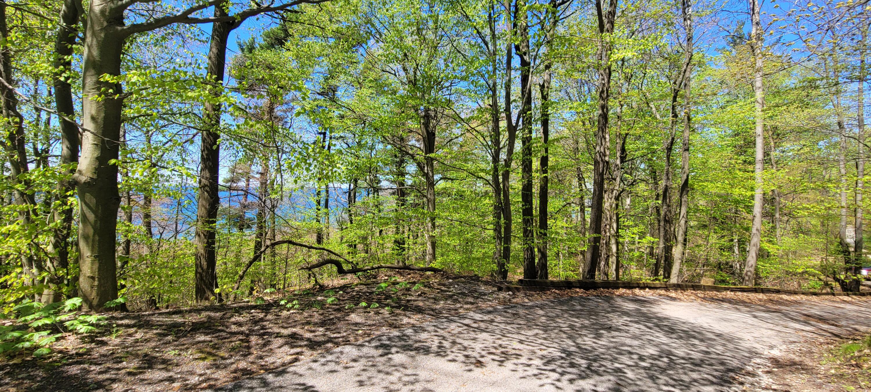 0 Lot 21 Sable Point Drive, 21