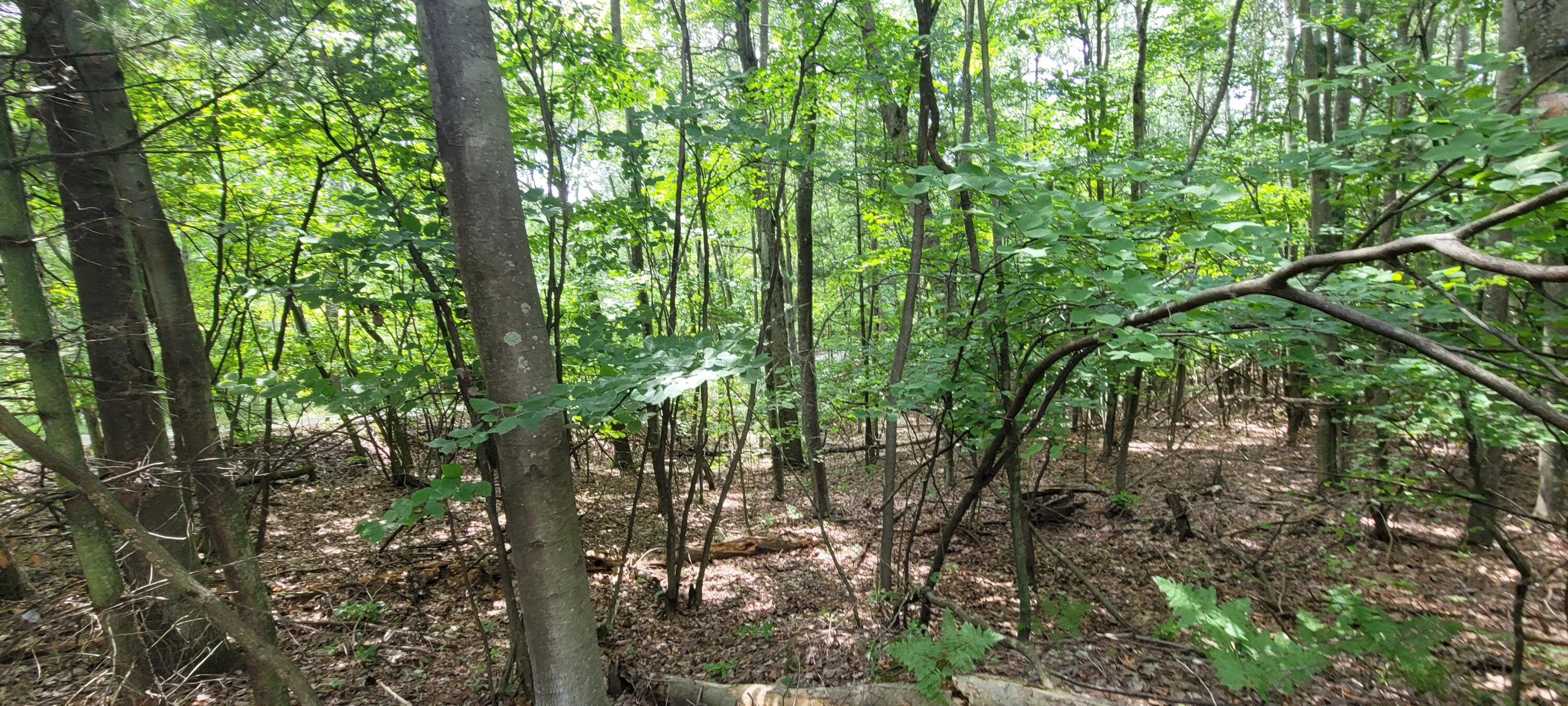 0 Unit 7 N Silver Ridge Road