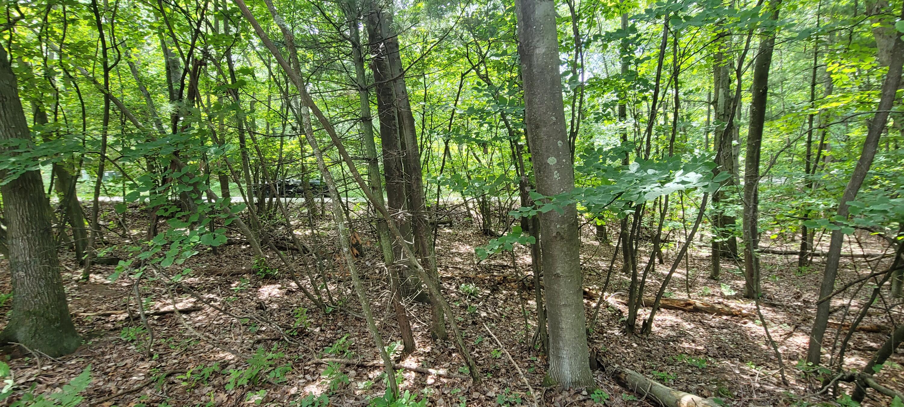 0 Unit 7 N Silver Ridge Road