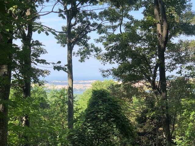 Silver Vista Lot 3