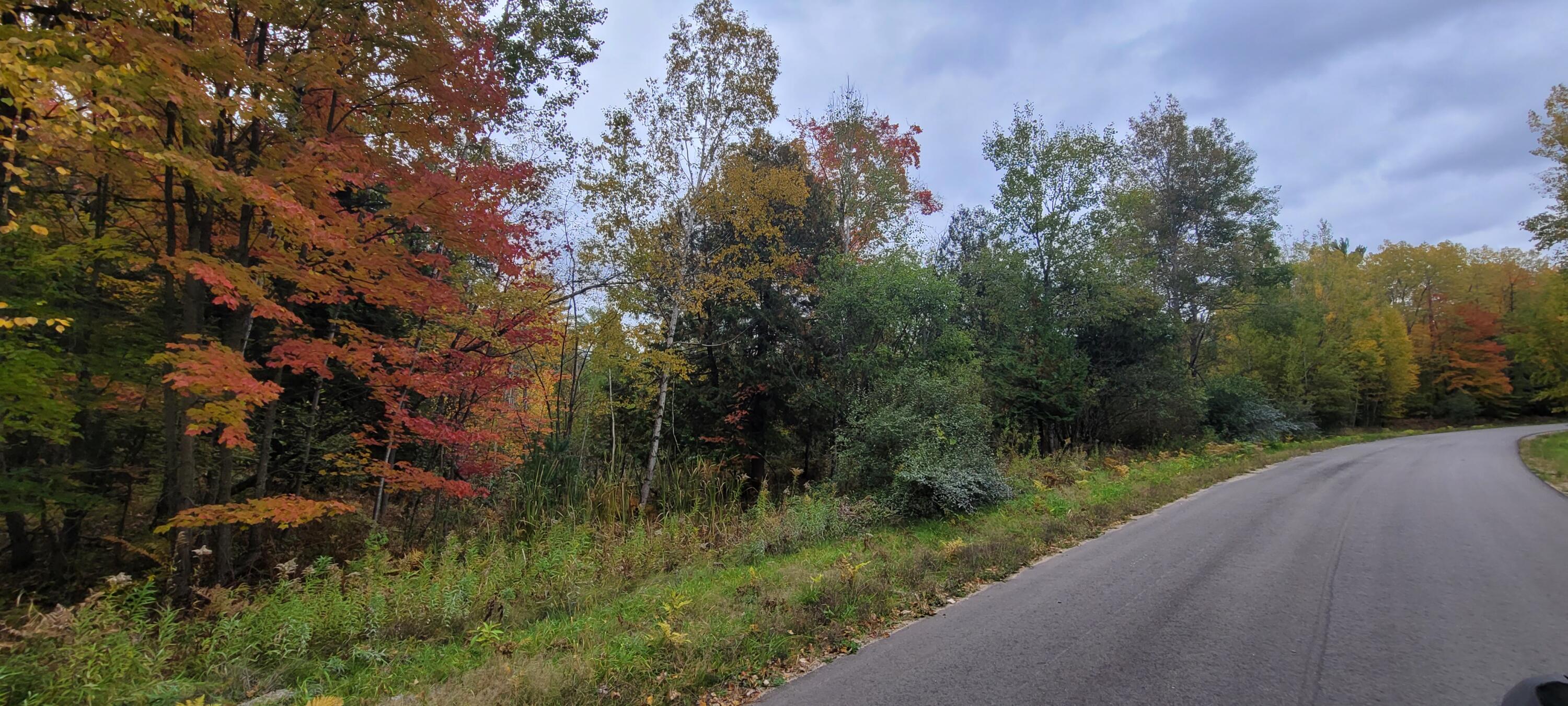 V/L Lot 83 Water Wonderland Court