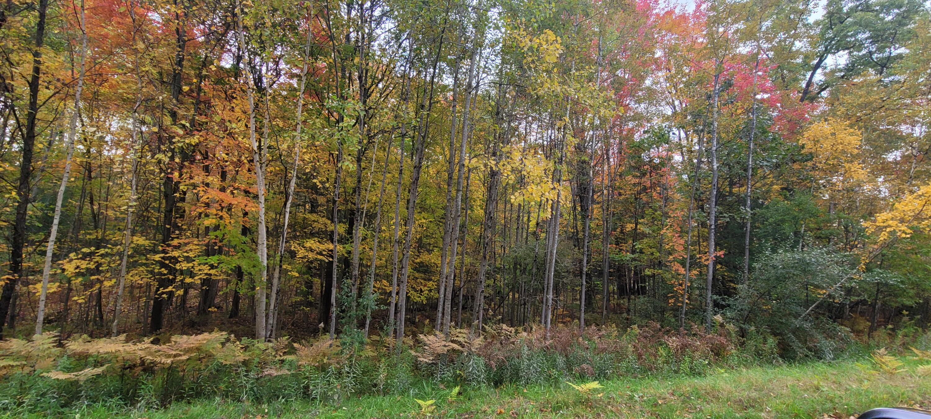 V/L Lot 83 Water Wonderland Court