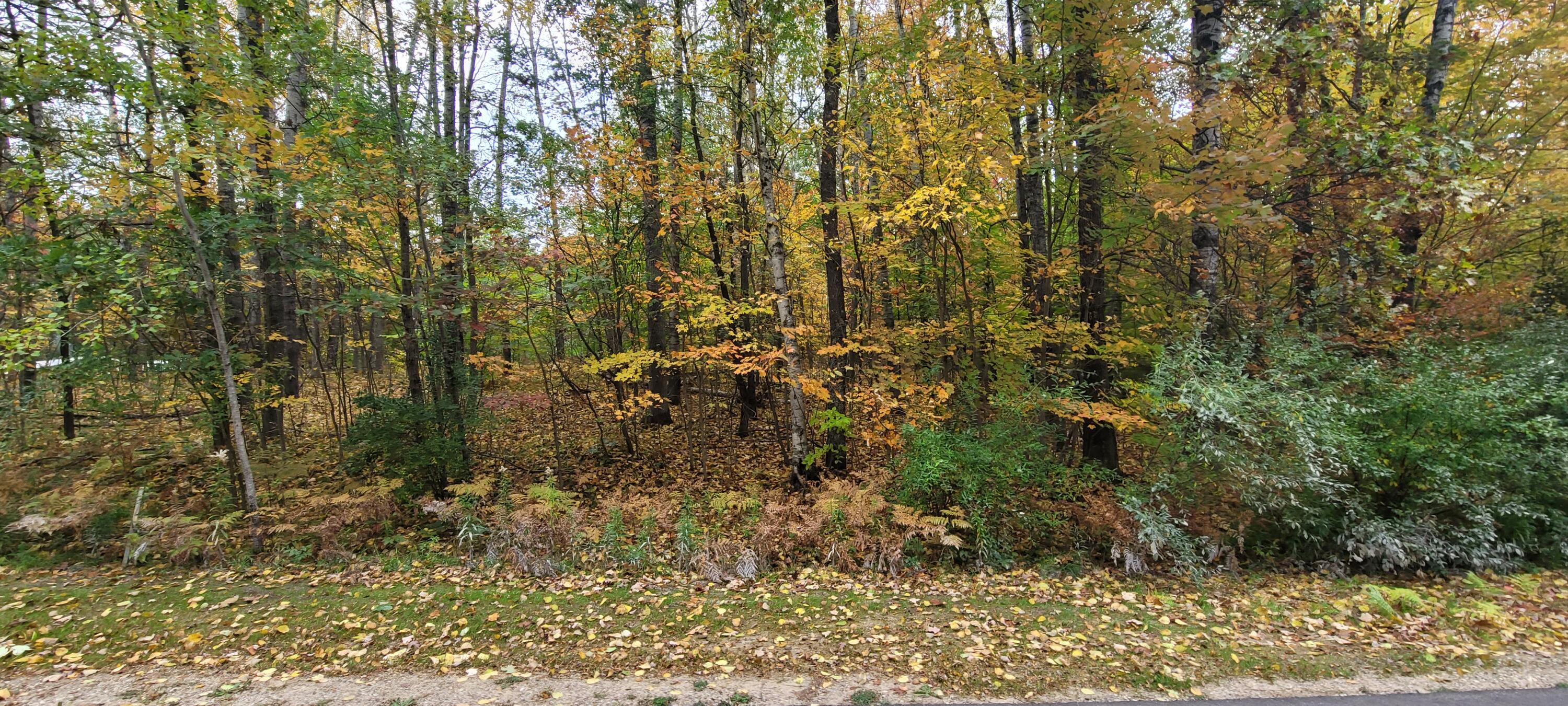 V/L Lot 83 Water Wonderland Court