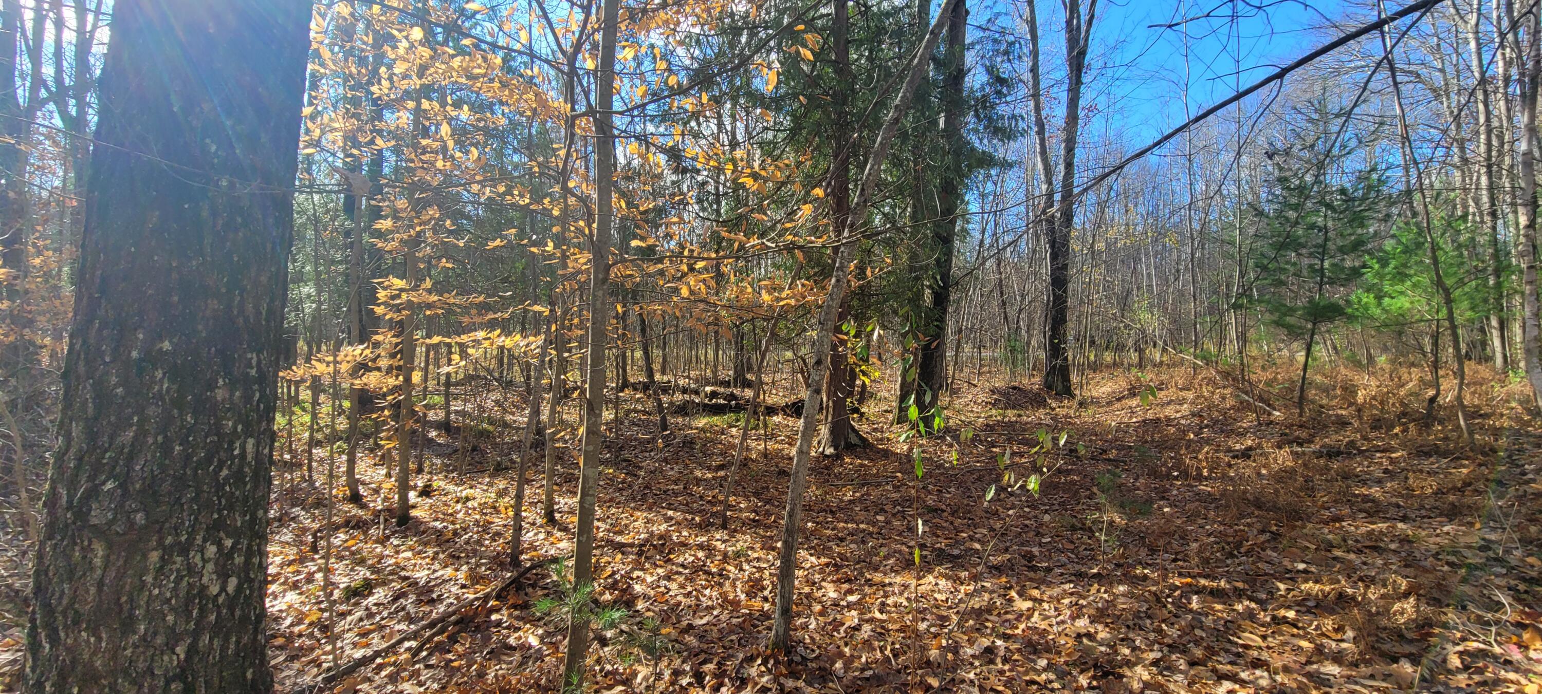 V/L Lot 83 Water Wonderland Court