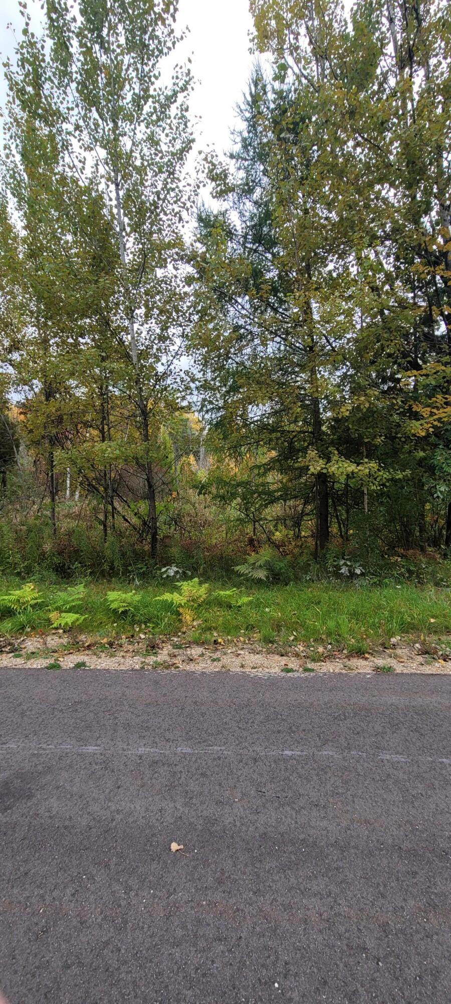 V/L Lot 83 Water Wonderland Court