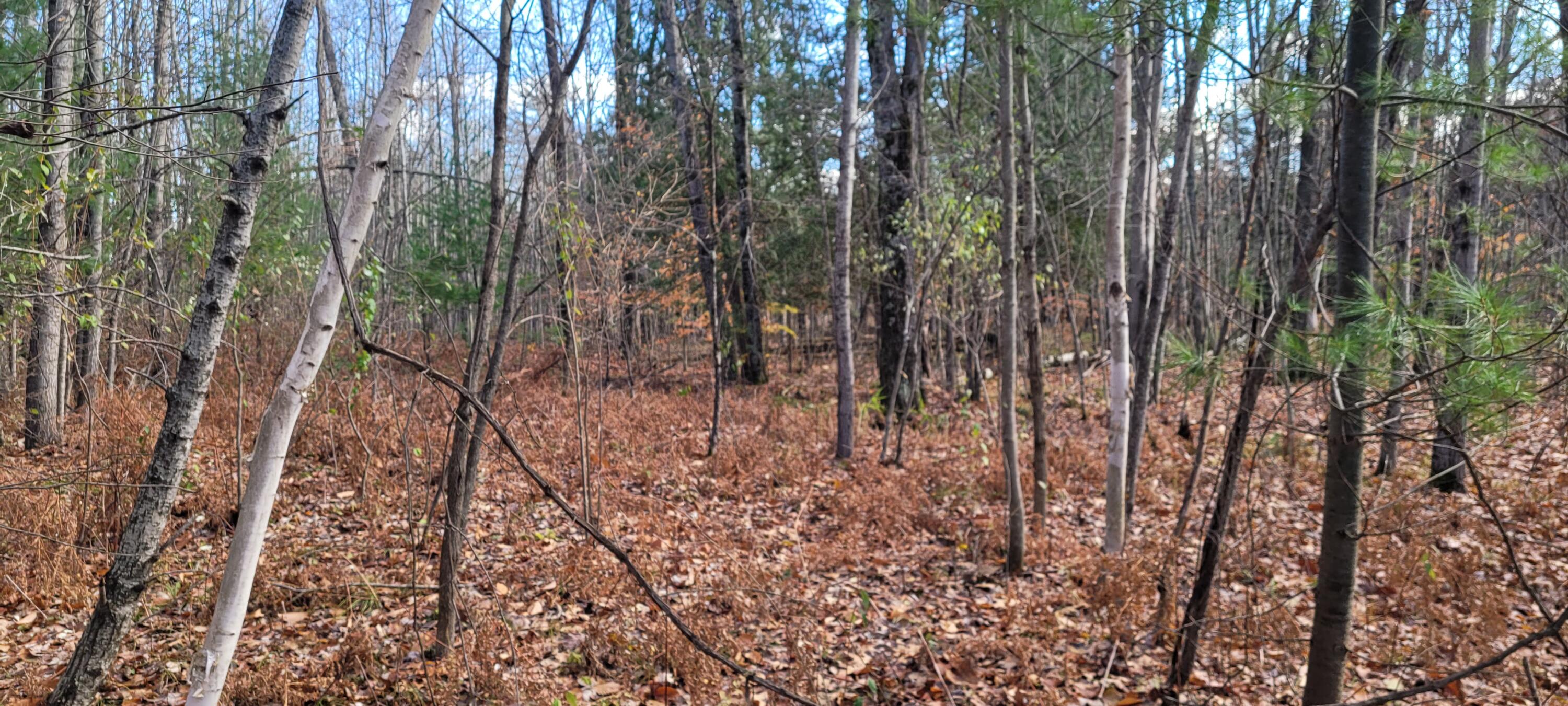 V/L Lot 83 Water Wonderland Court