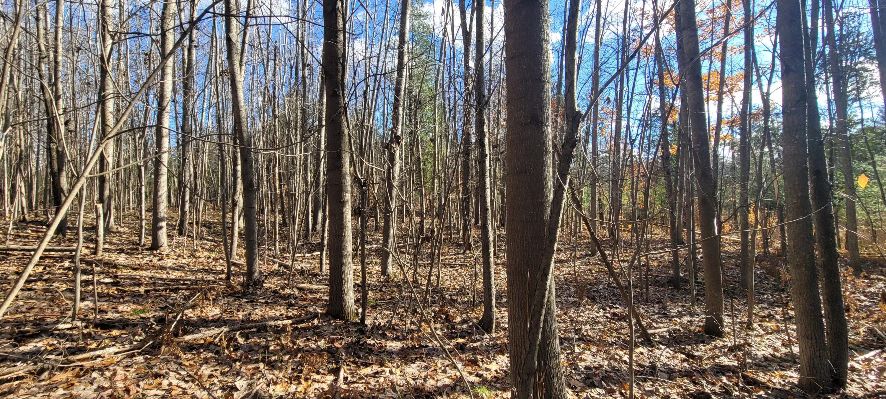 V/L Lot 83 Water Wonderland Court
