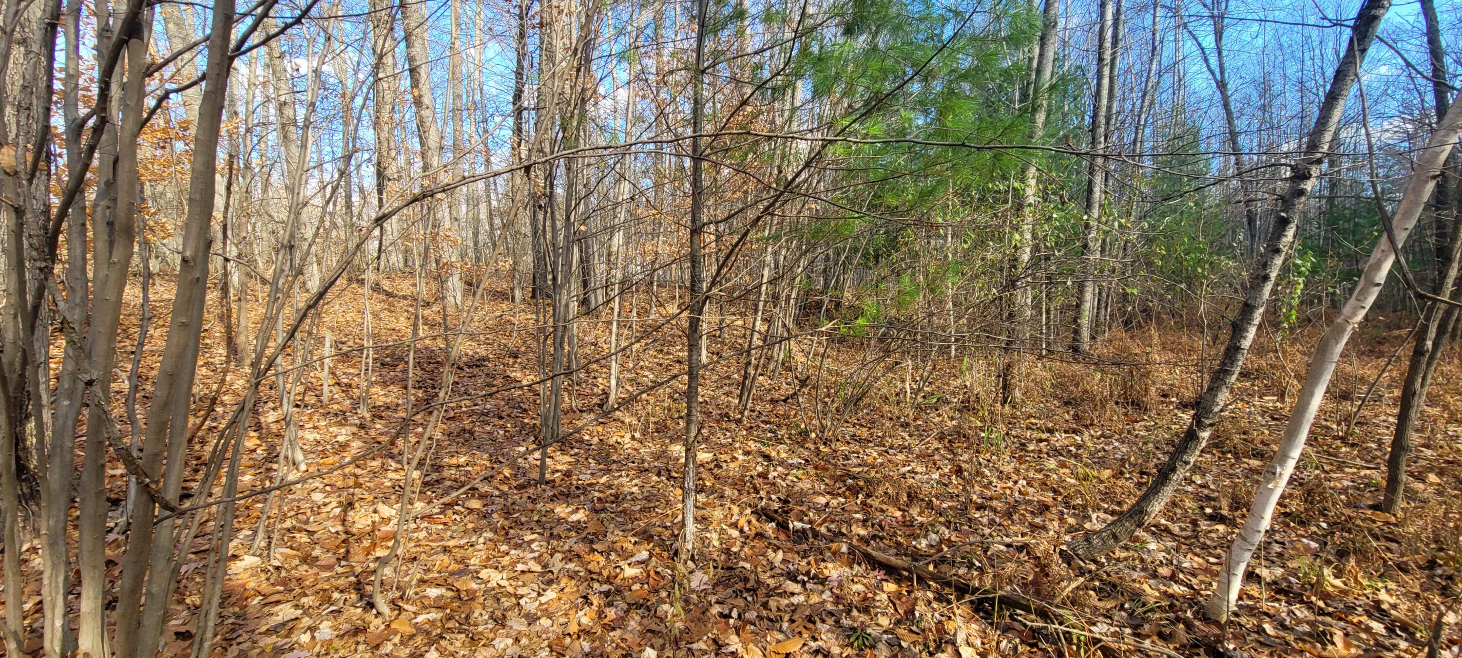 V/L Lot 83 Water Wonderland Court