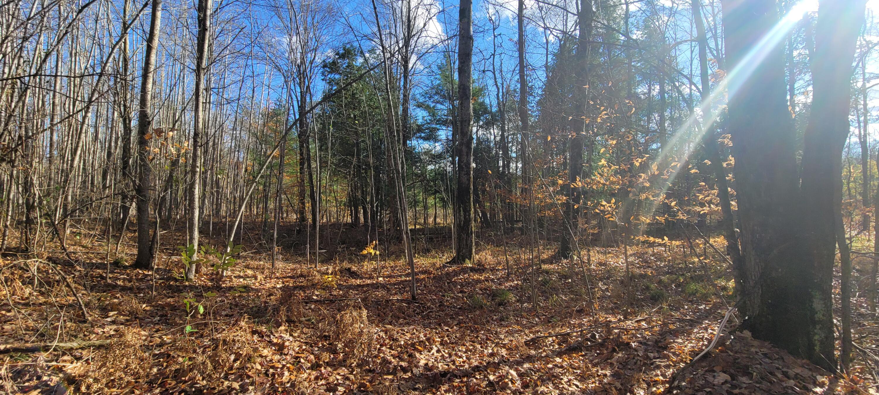 V/L Lot 83 Water Wonderland Court