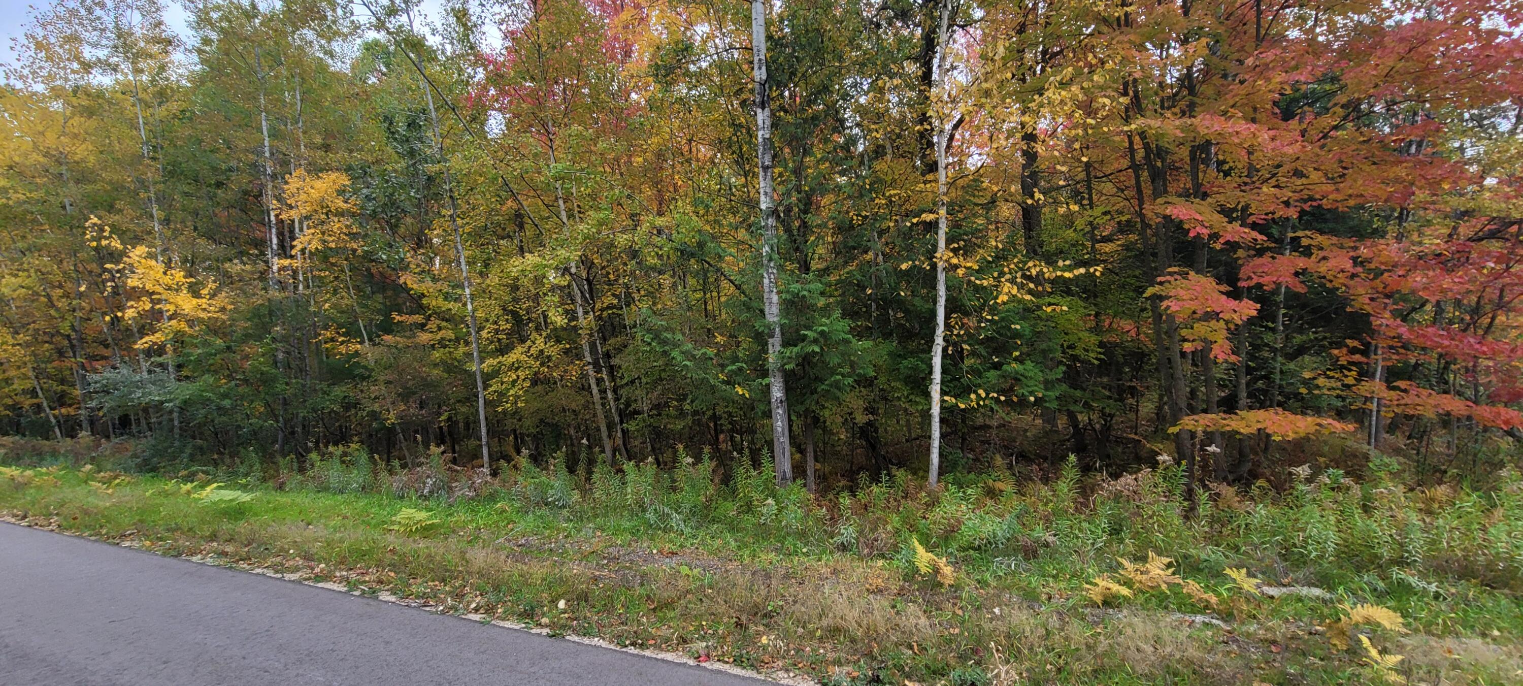 V/L Lot 83 Water Wonderland Court
