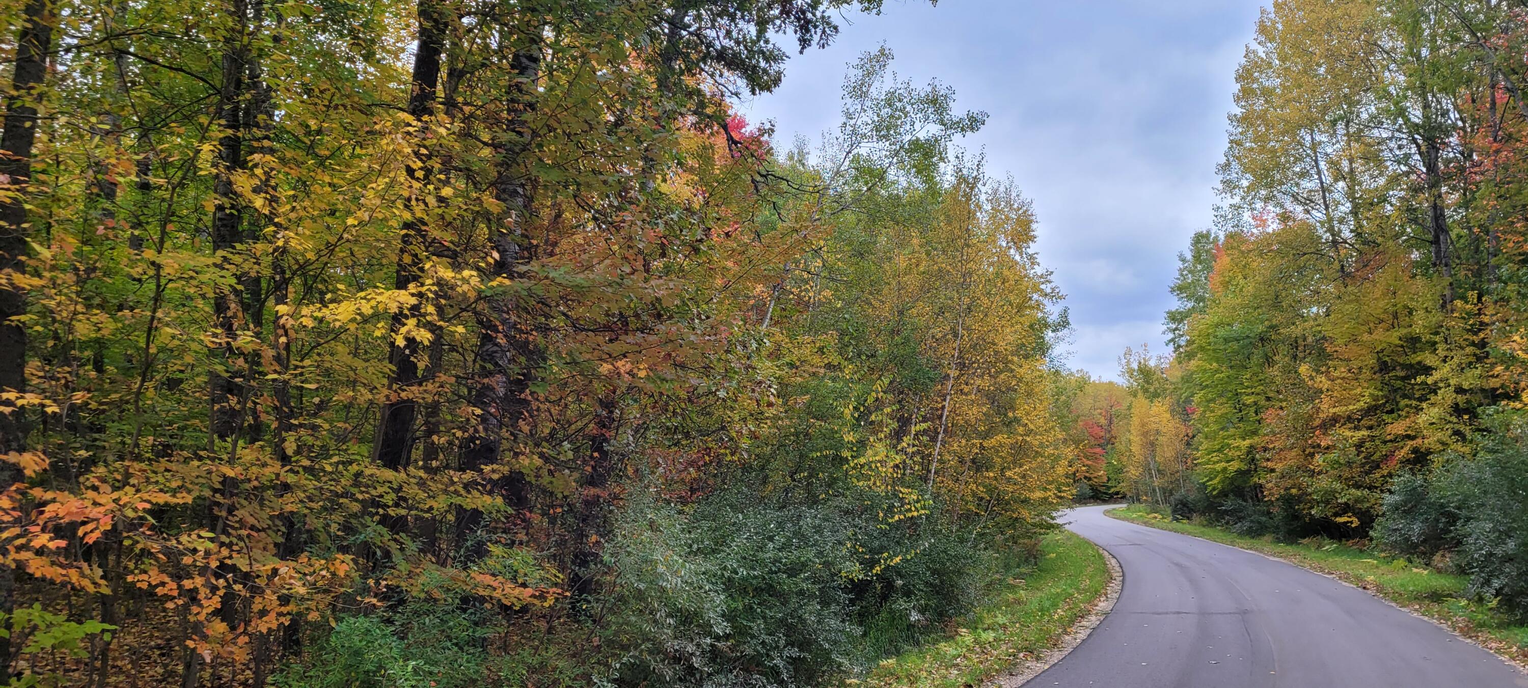 V/L Lot 83 Water Wonderland Court