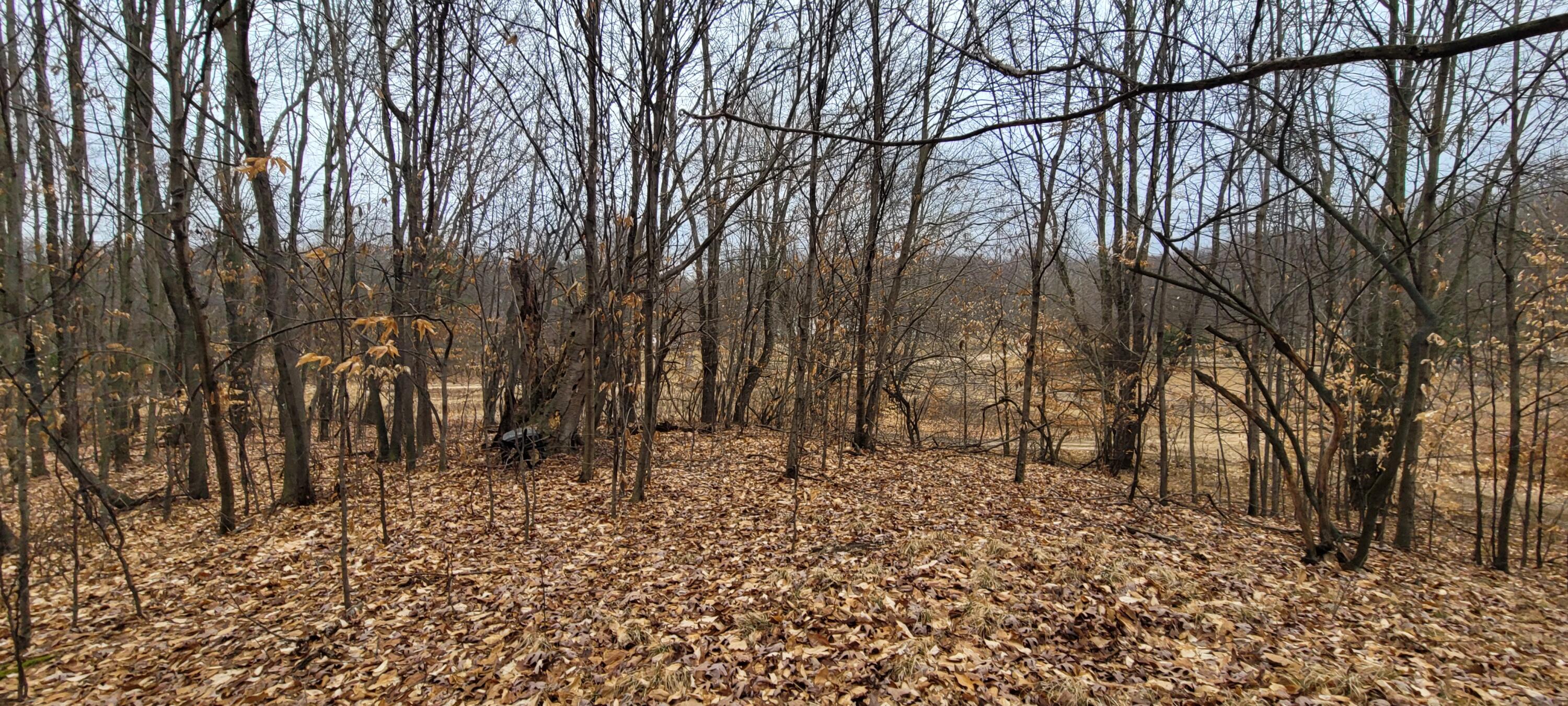 4551 Deer Cove Road