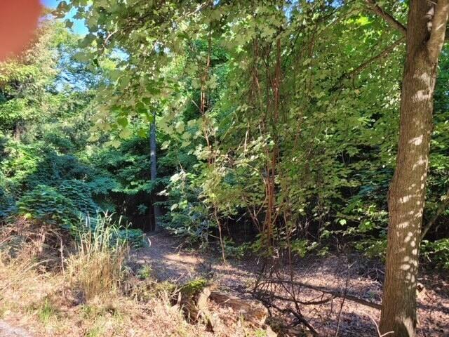 Lot D Silver Vista Lane