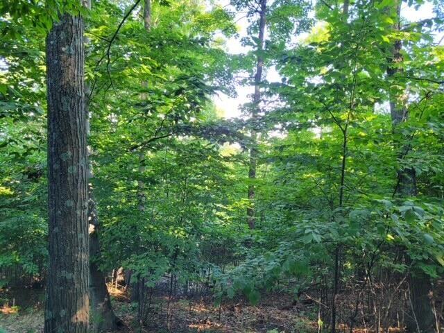Lot D Silver Vista Lane
