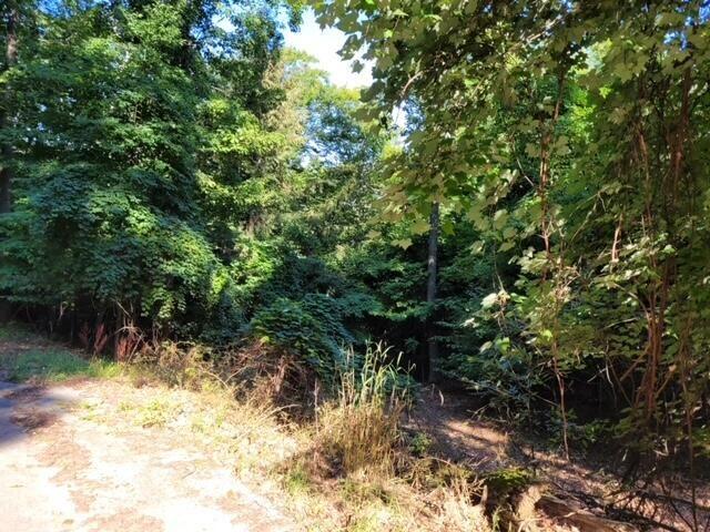 Lot E Silver Vista Lane