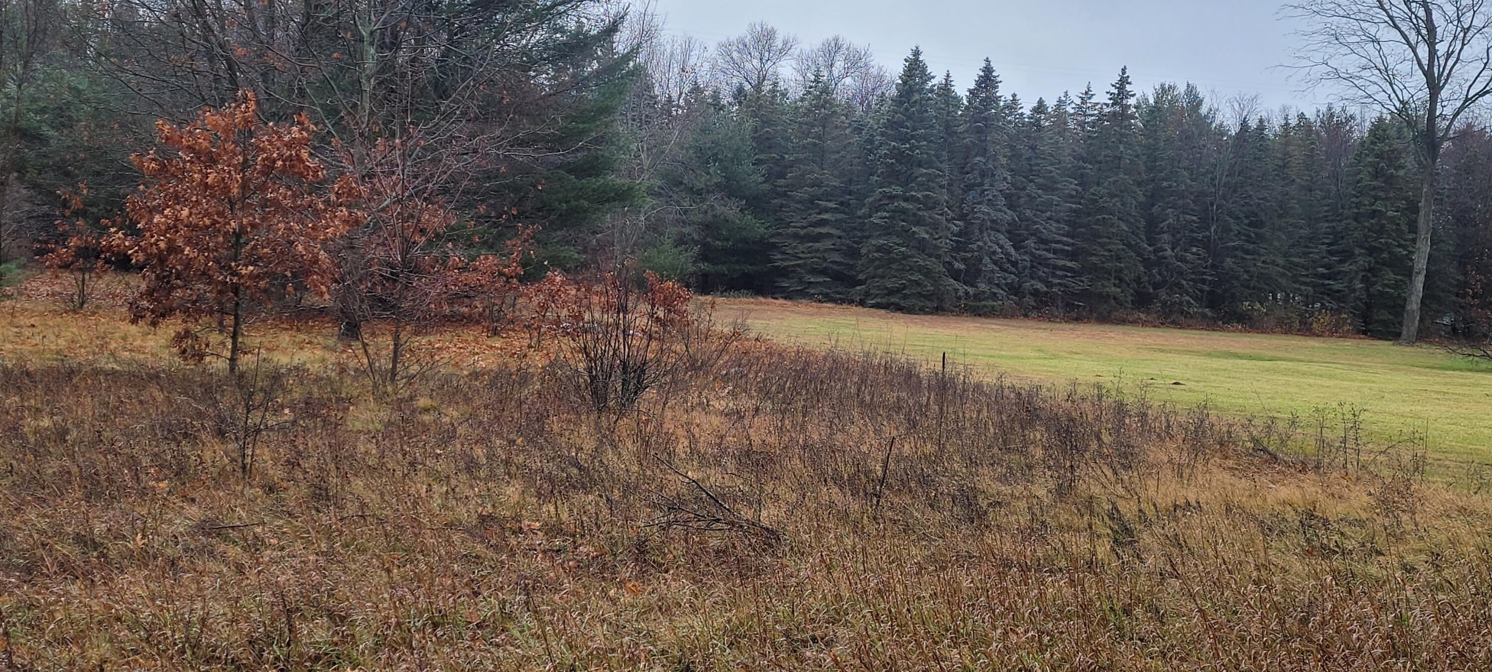 0 Vac 1.48 Ac Walsh Road