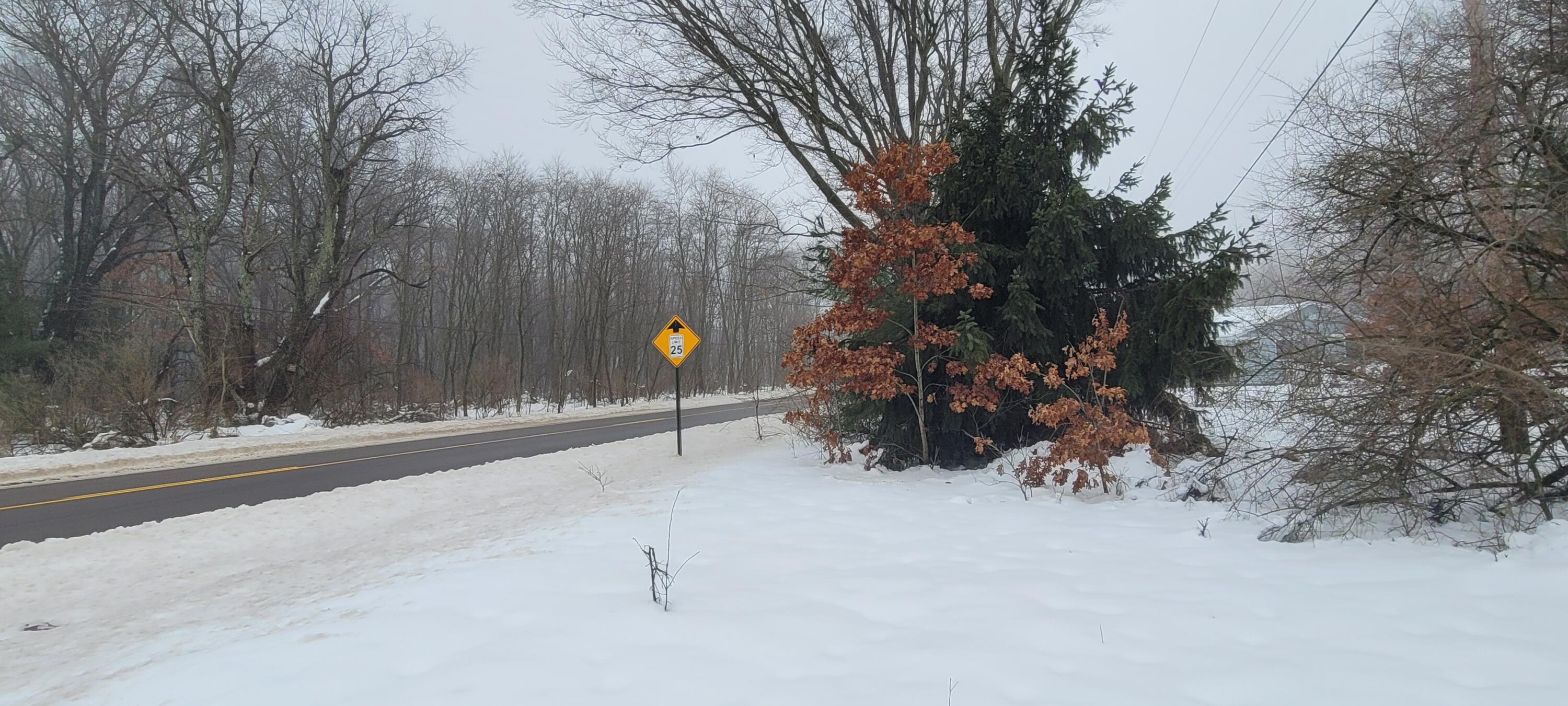 0 Vac 1.48 Ac Walsh Road