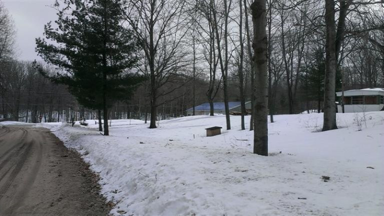 9463 W Wildridge Road