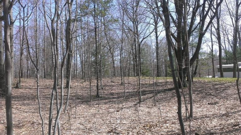 9463 W Wildridge Road