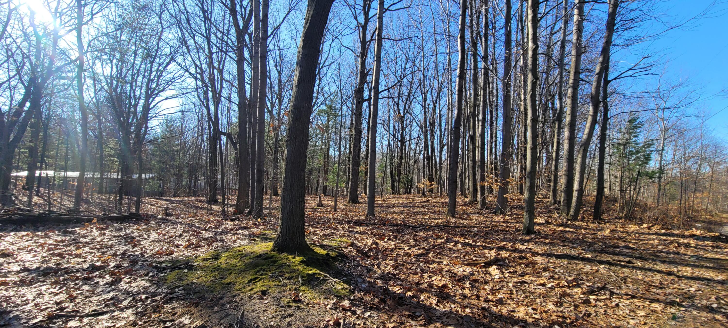 9463 W Wild Ridge lot 141 & 142 Road