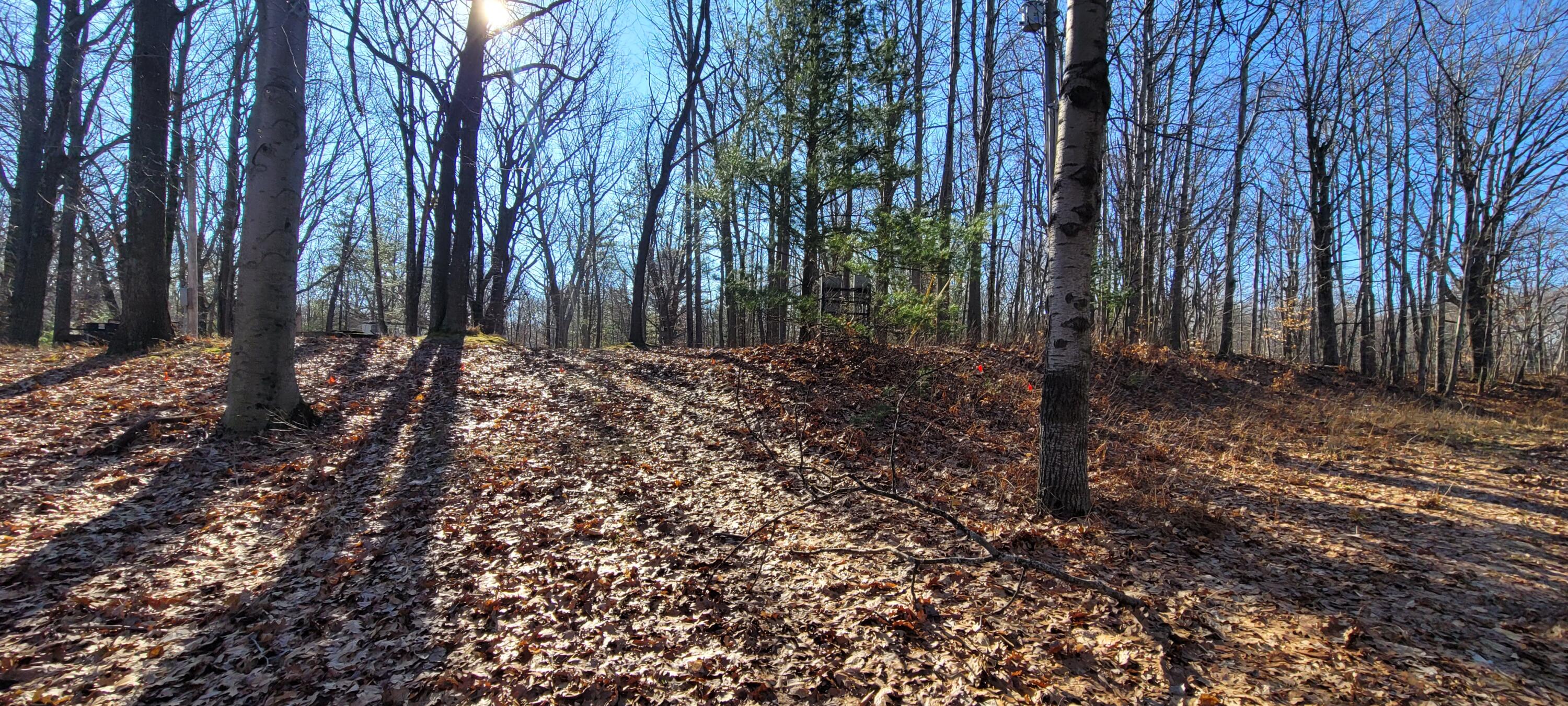 9463 W Wild Ridge lot 141 & 142 Road