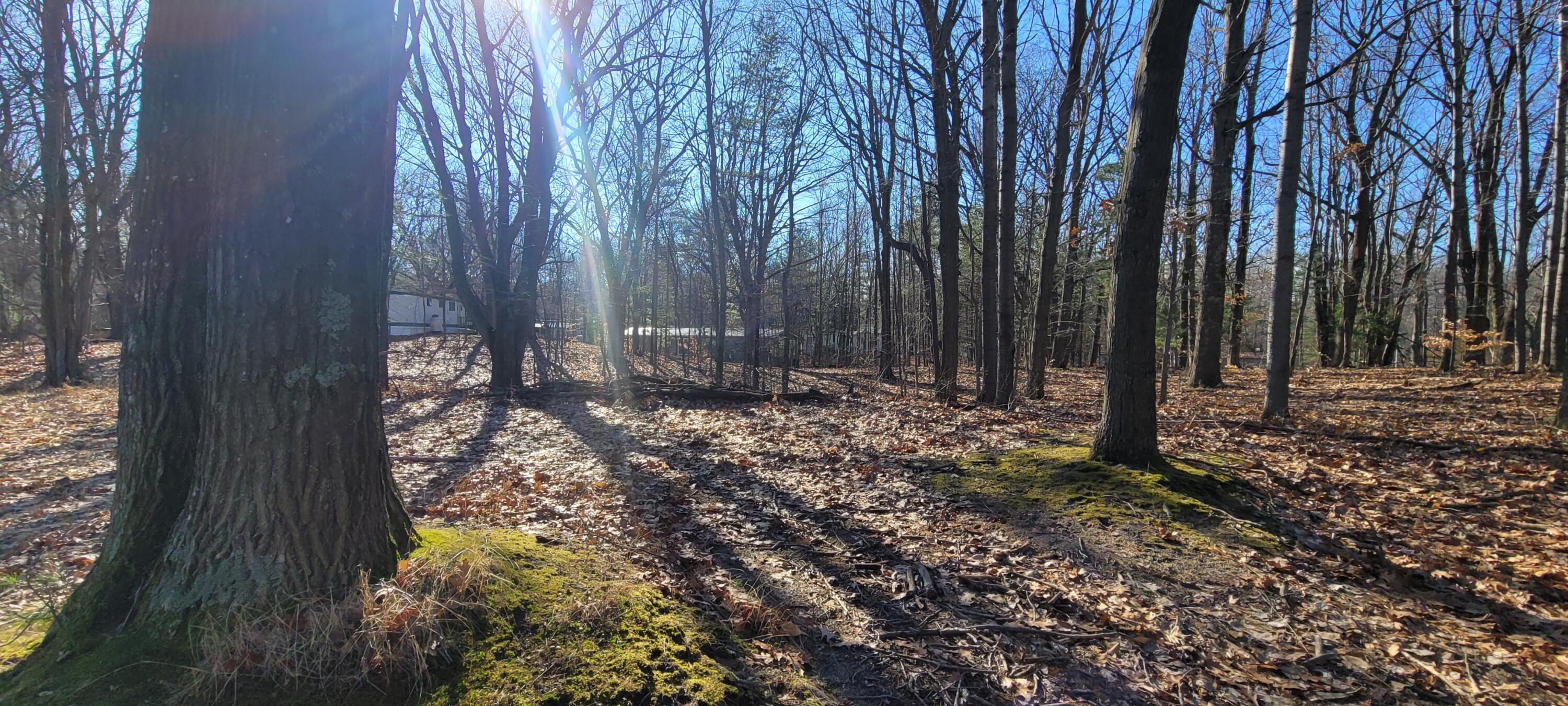 9463 W Wild Ridge lot 141 & 142 Road