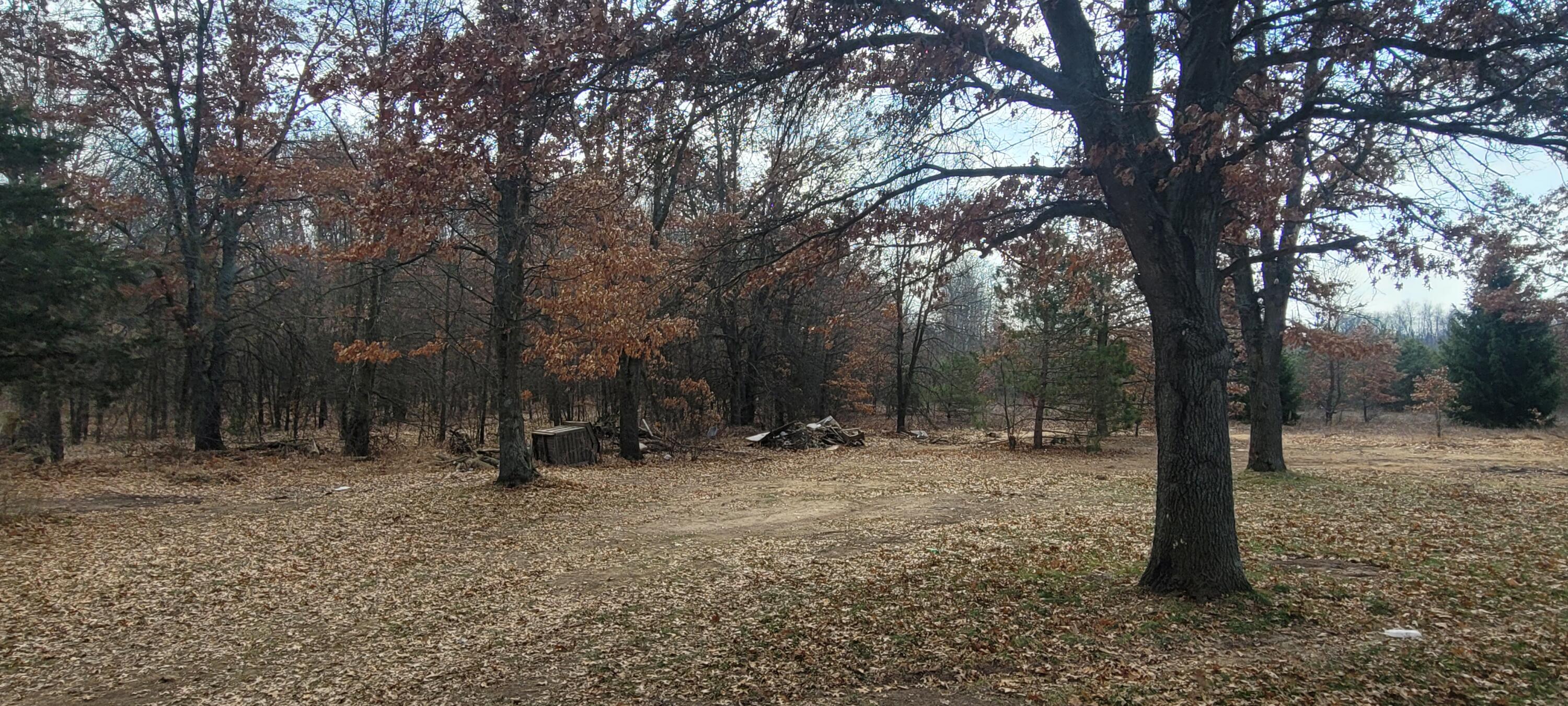 3018 W 1 Mile Road