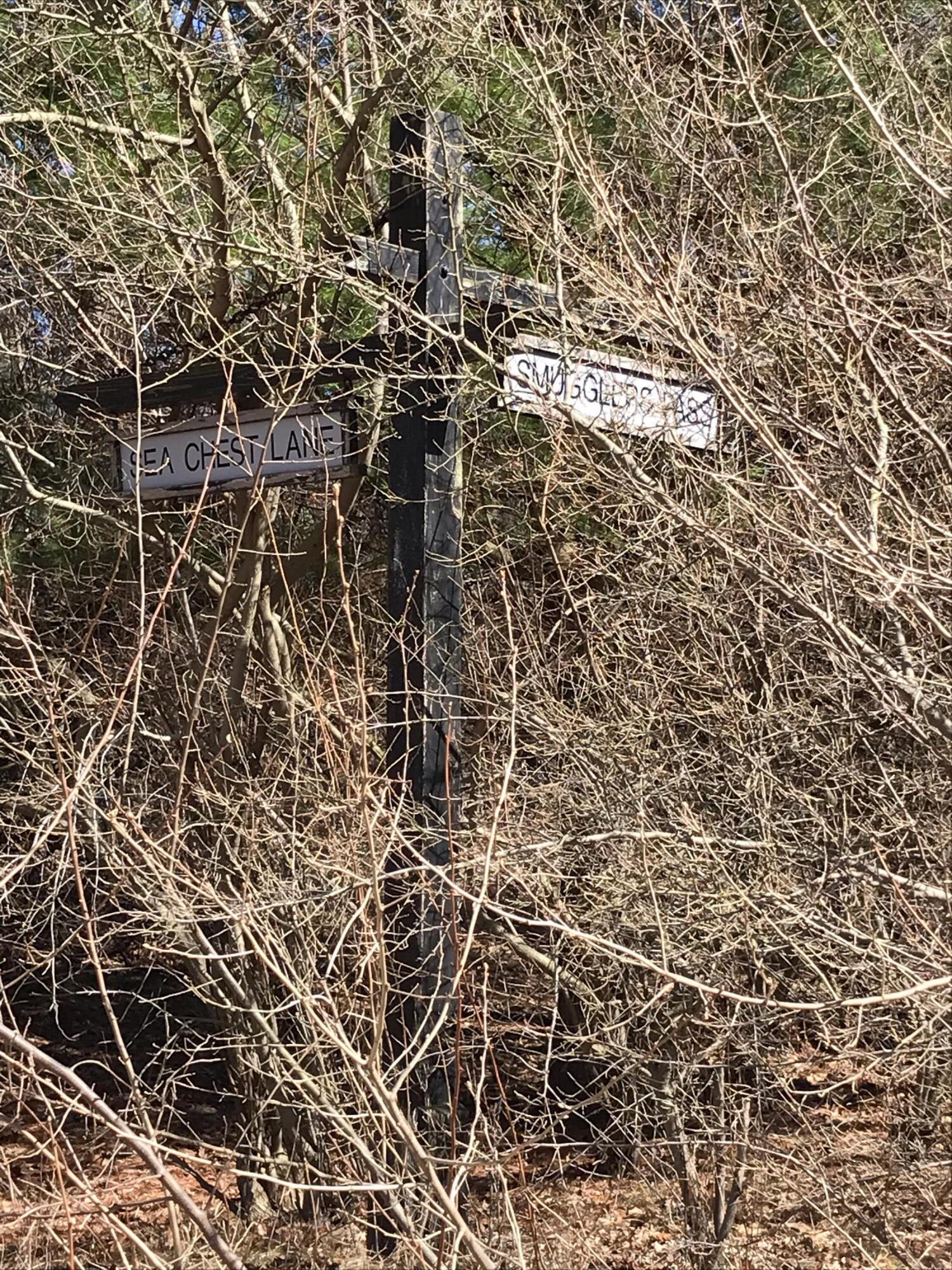 Smugglers Pass, 10
