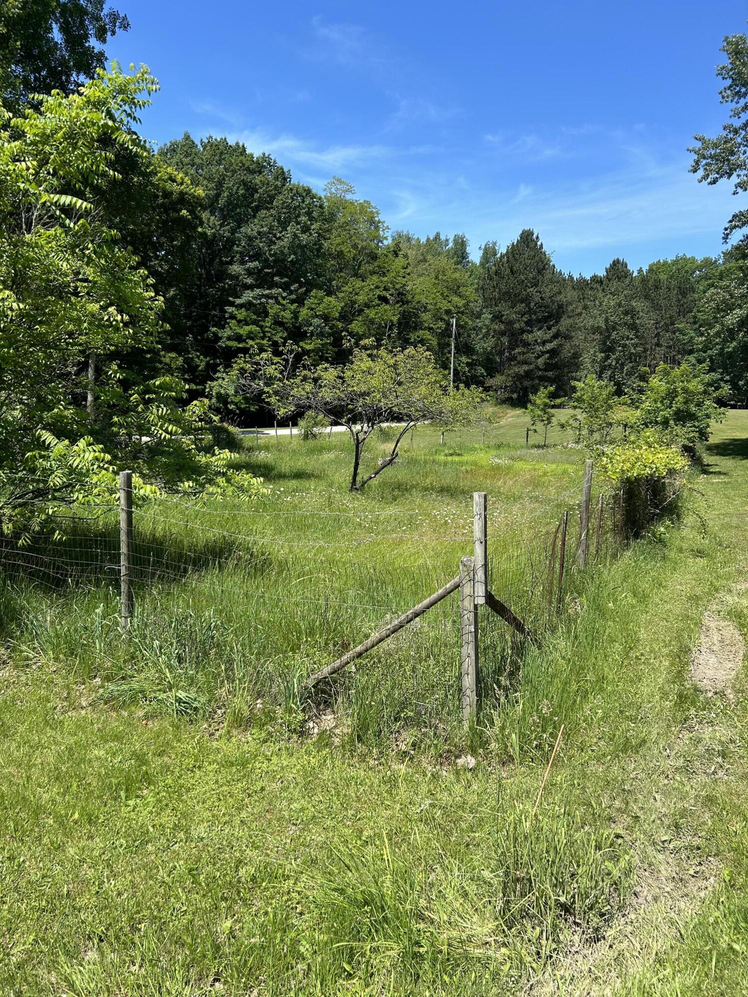 Smugglers Pass, 10