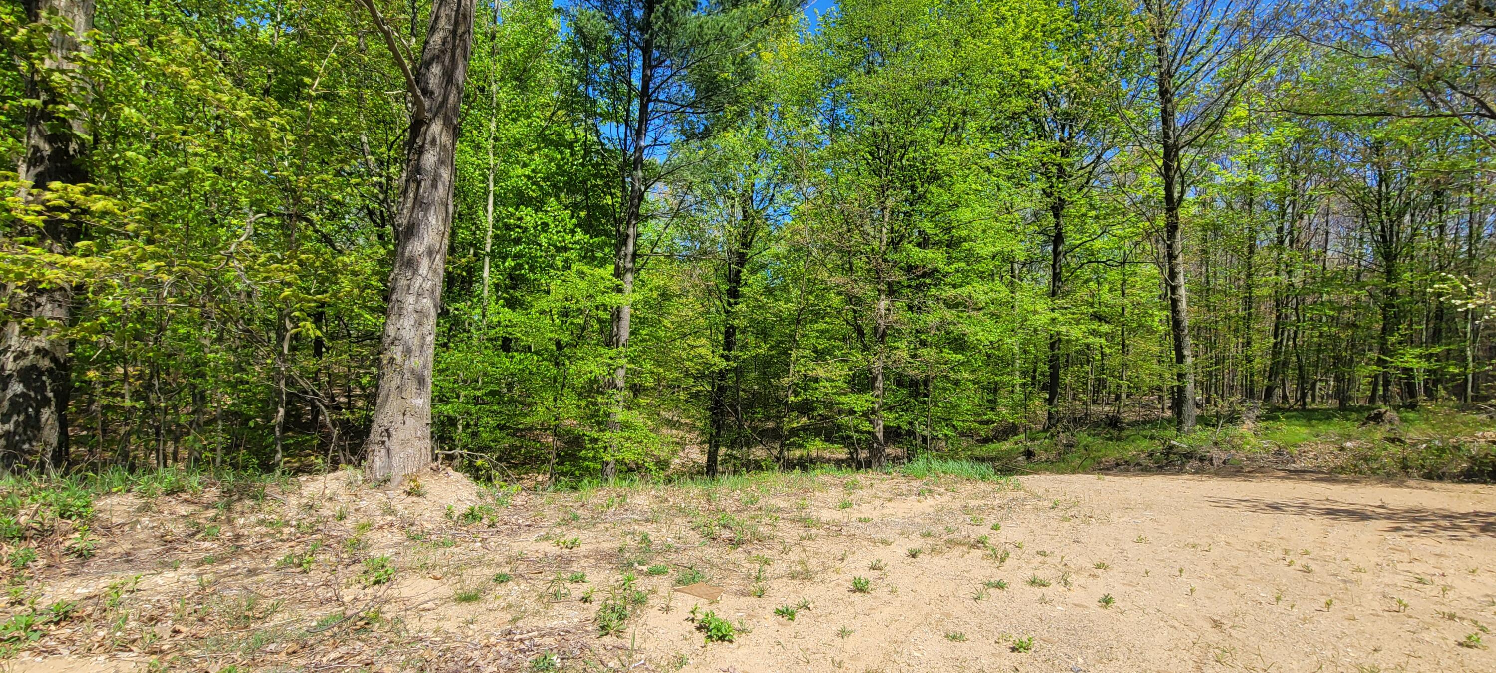 7190 W Fox Road