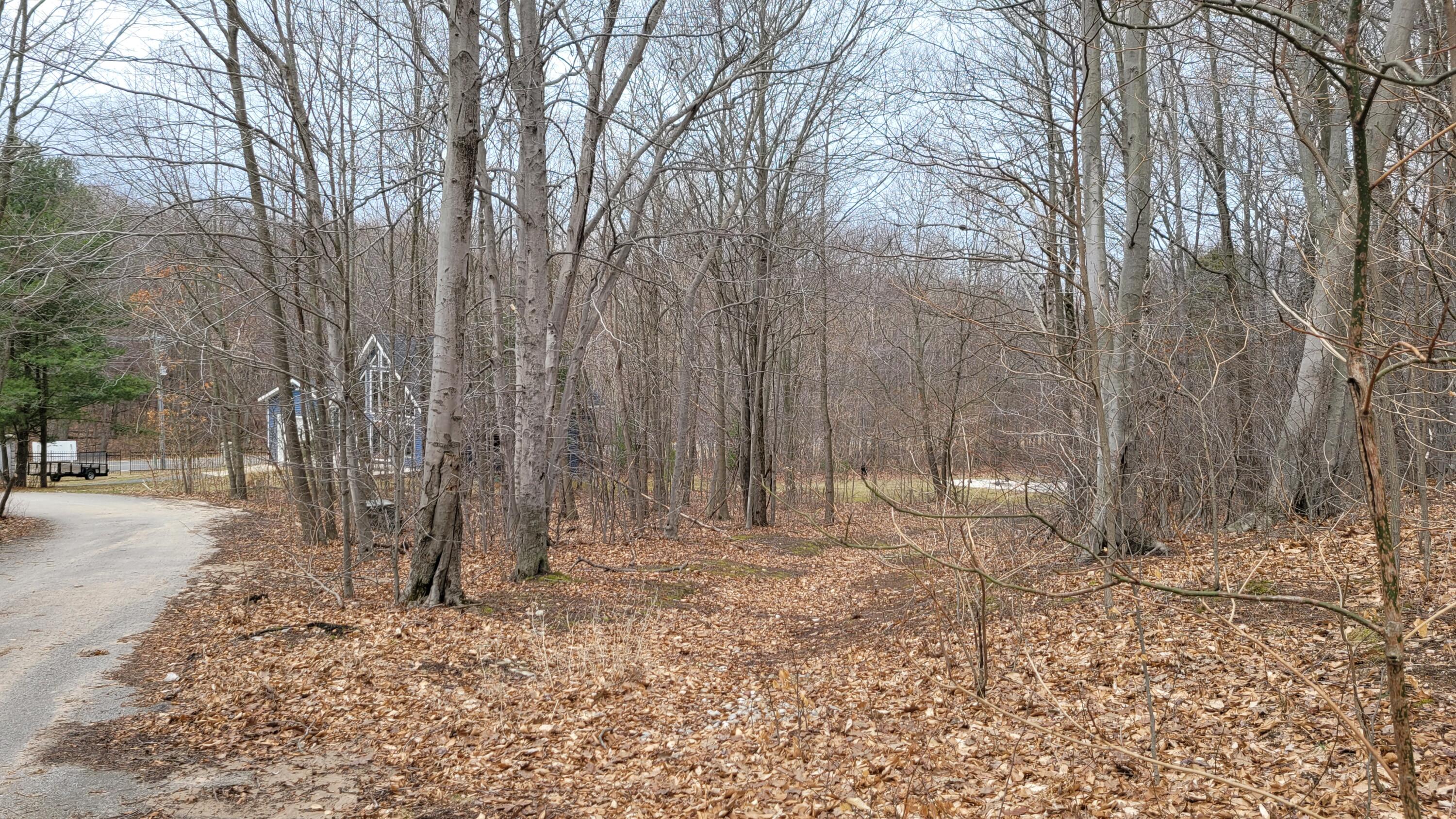 Parcel 8 Silver Vista Lane