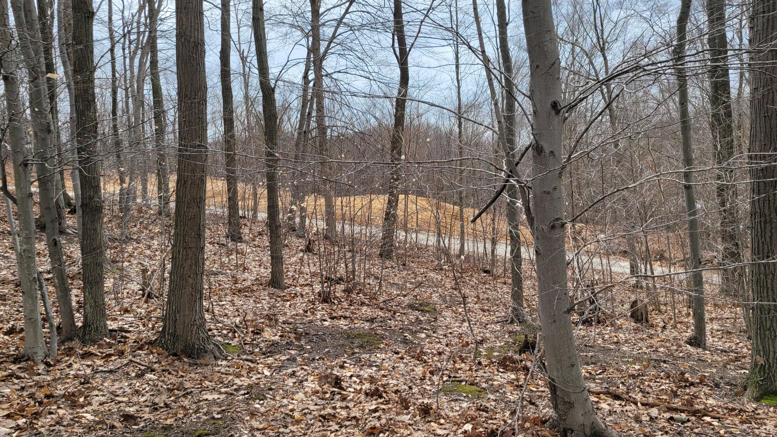 Parcel 8 Silver Vista Lane