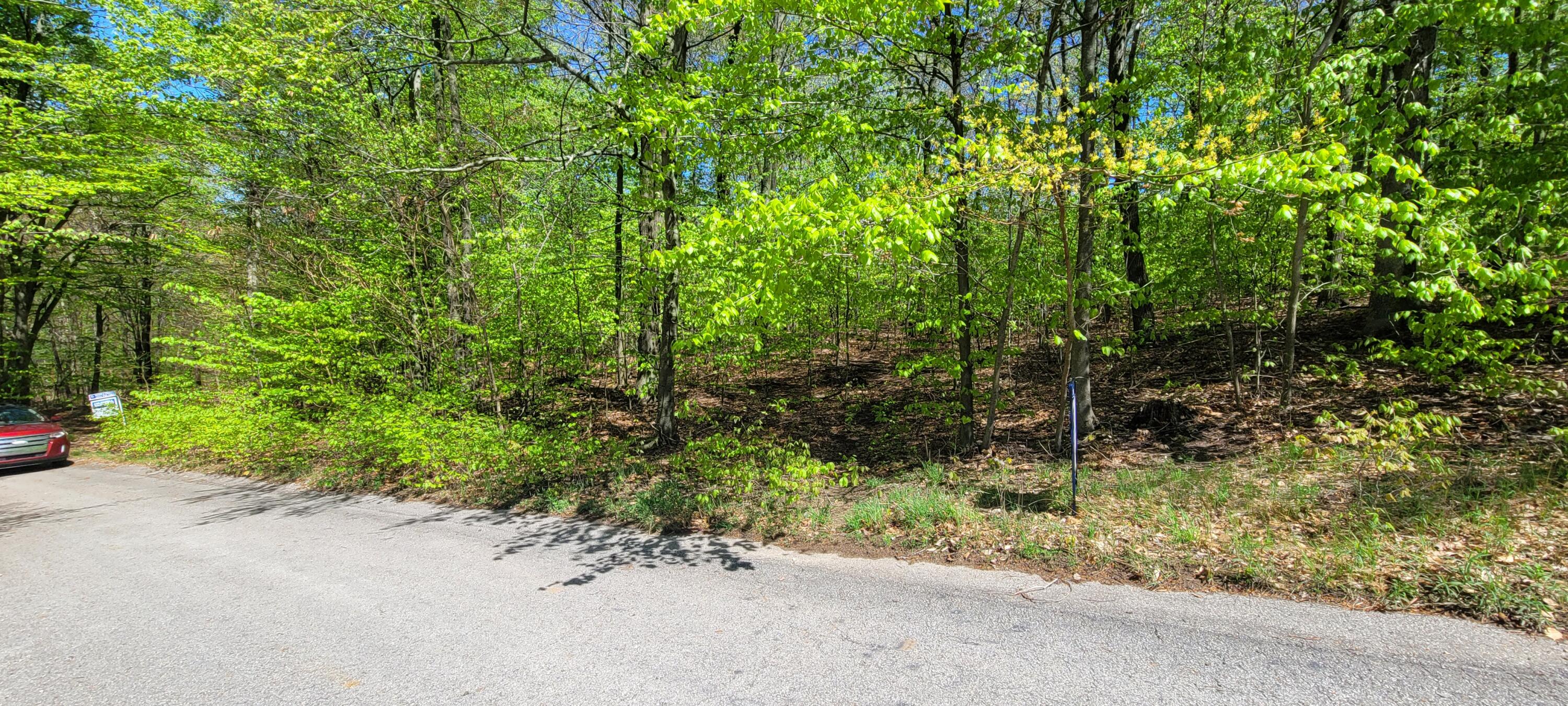 Parcel 8 Silver Vista Lane
