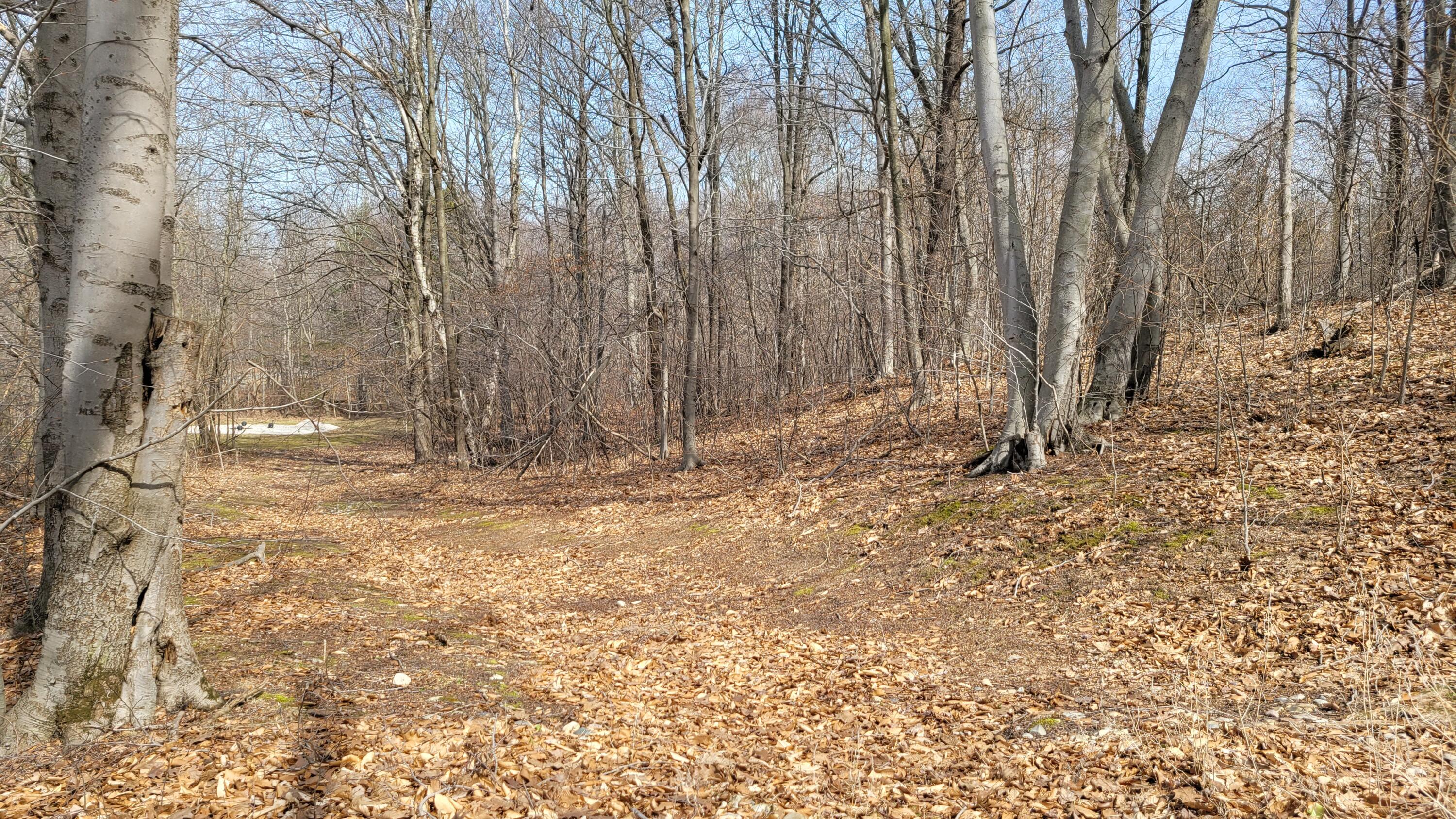 Parcel 8 Silver Vista Lane