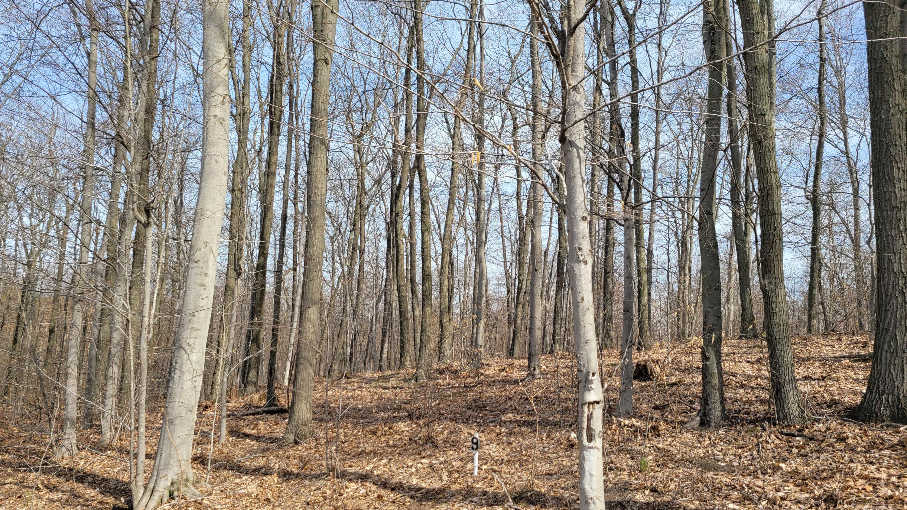 Parcel 8 Silver Vista Lane
