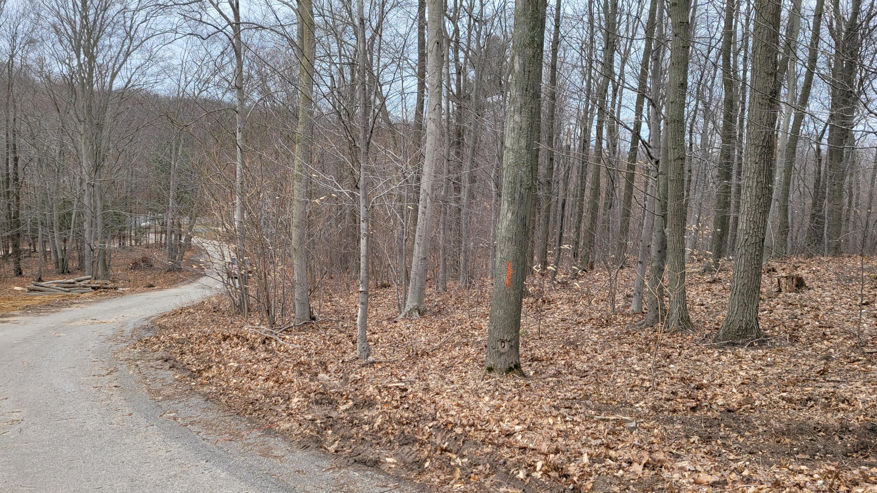 Parcel 8 Silver Vista Lane