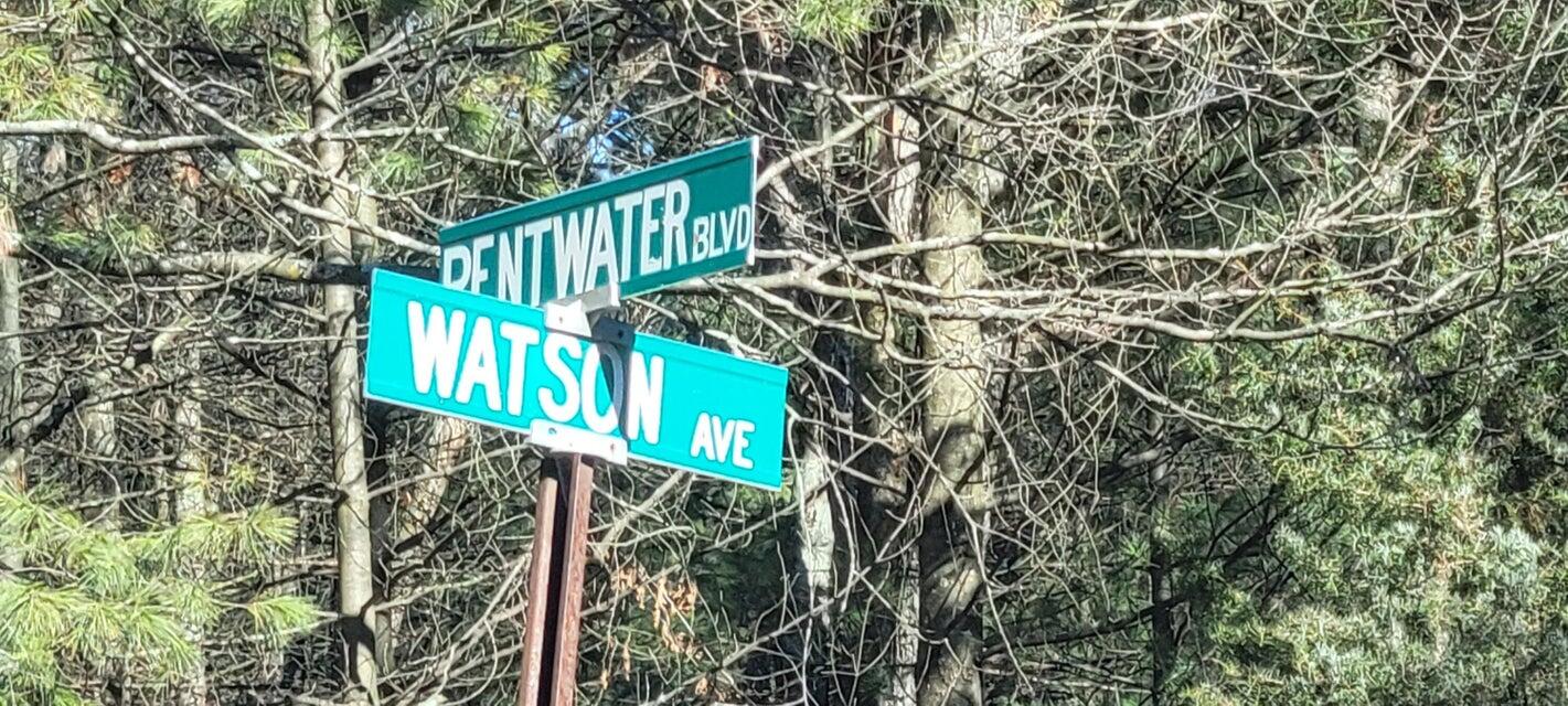 0 Watson