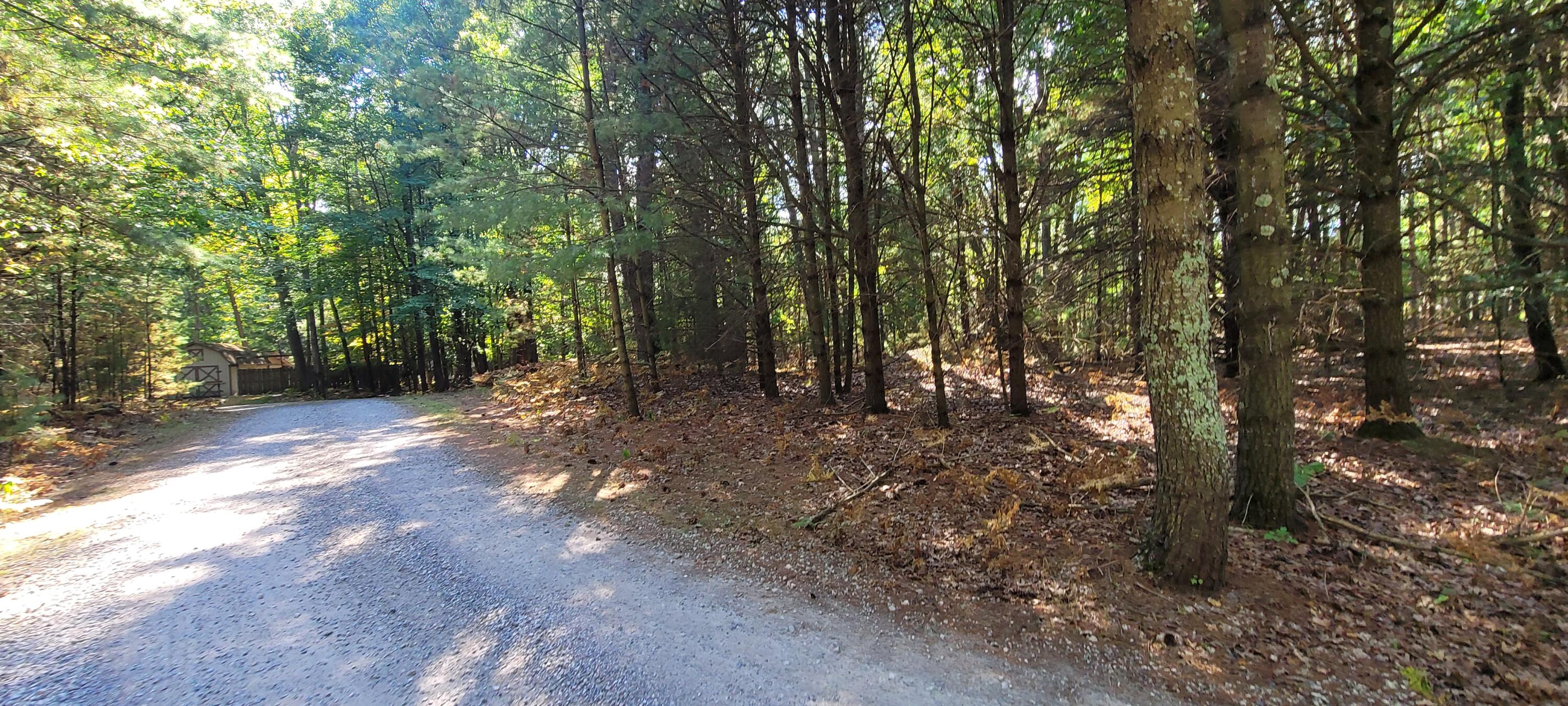 Lot 4 Park Street