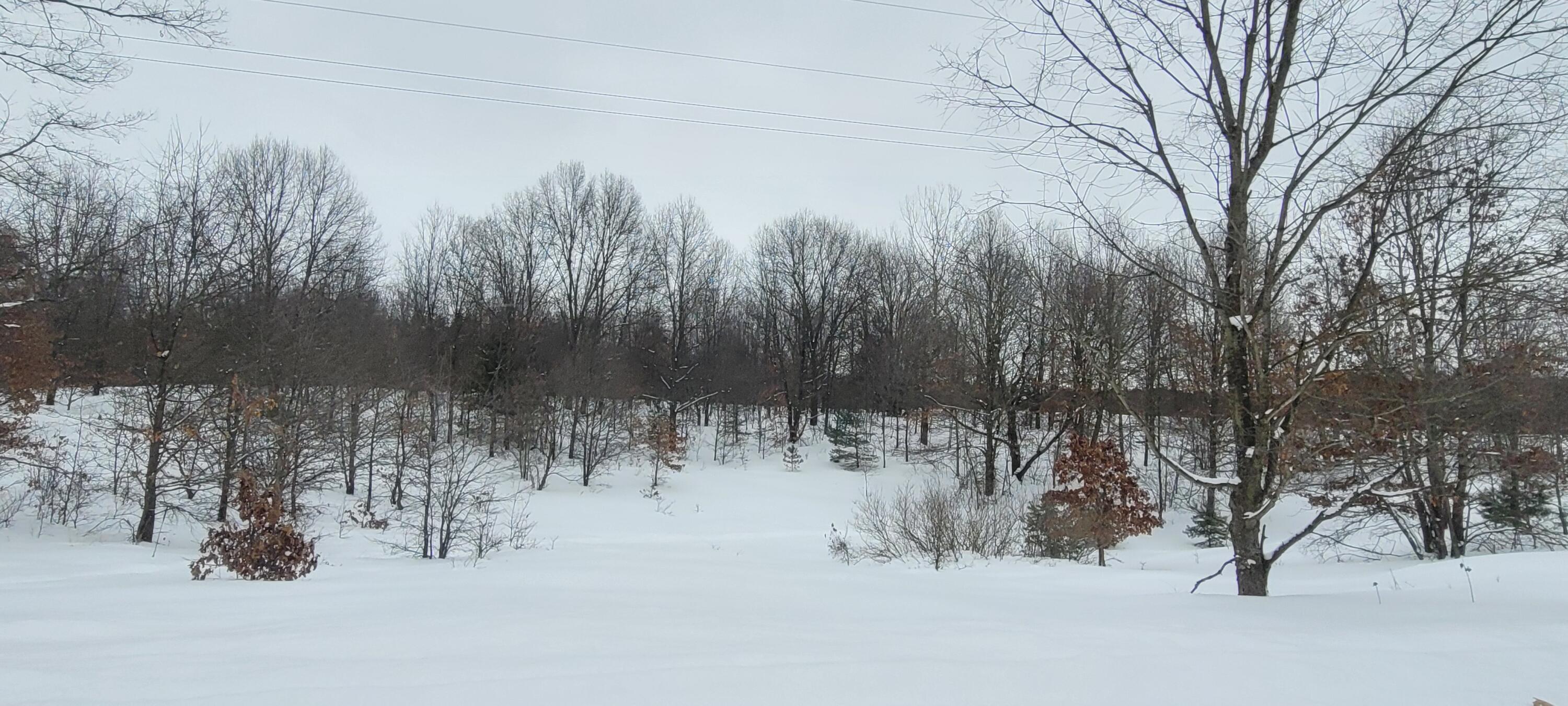 300 N 56th Avenue