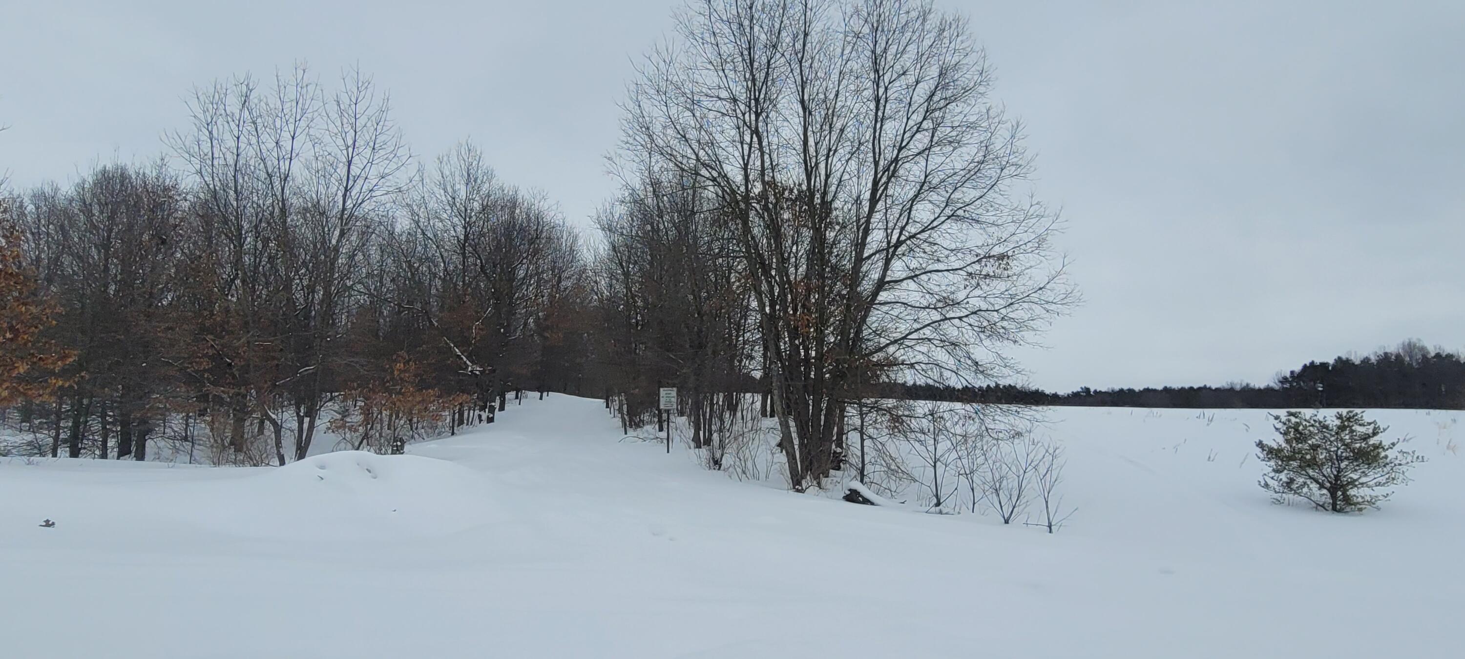 300 N 56th Avenue