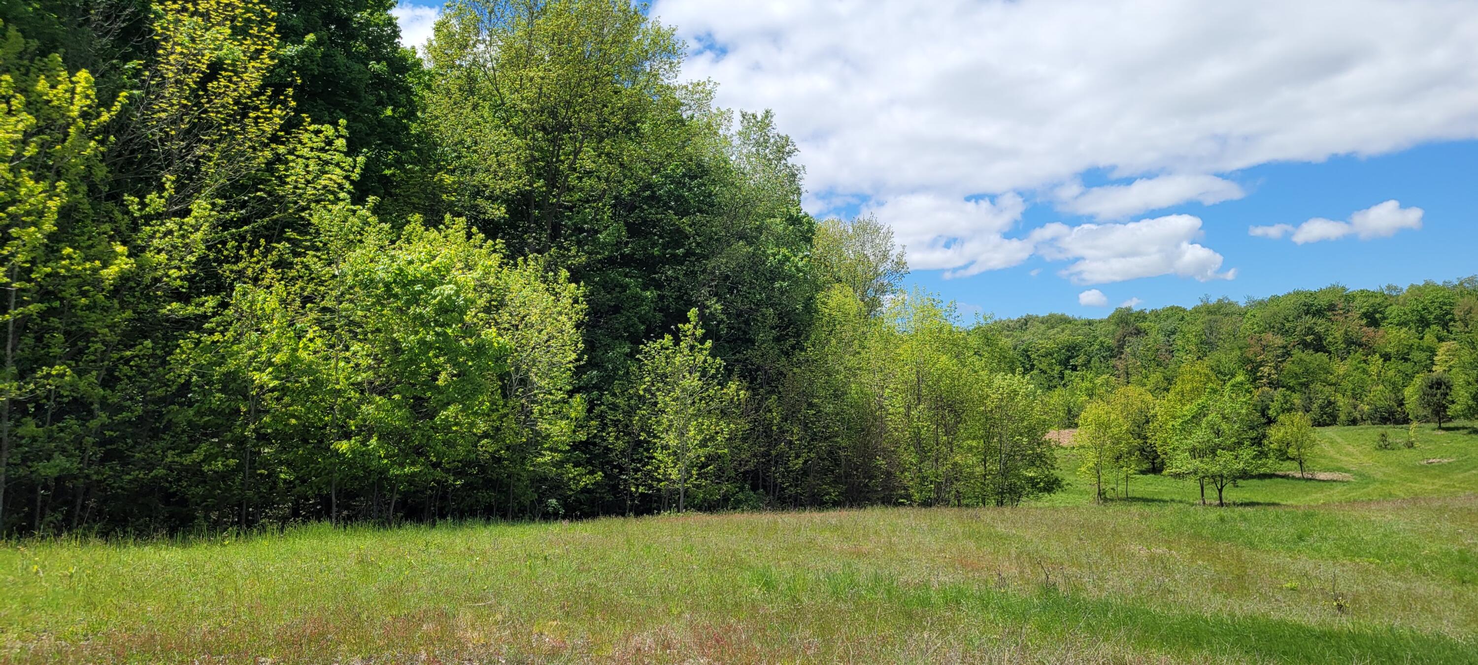 287 W Baseline Road