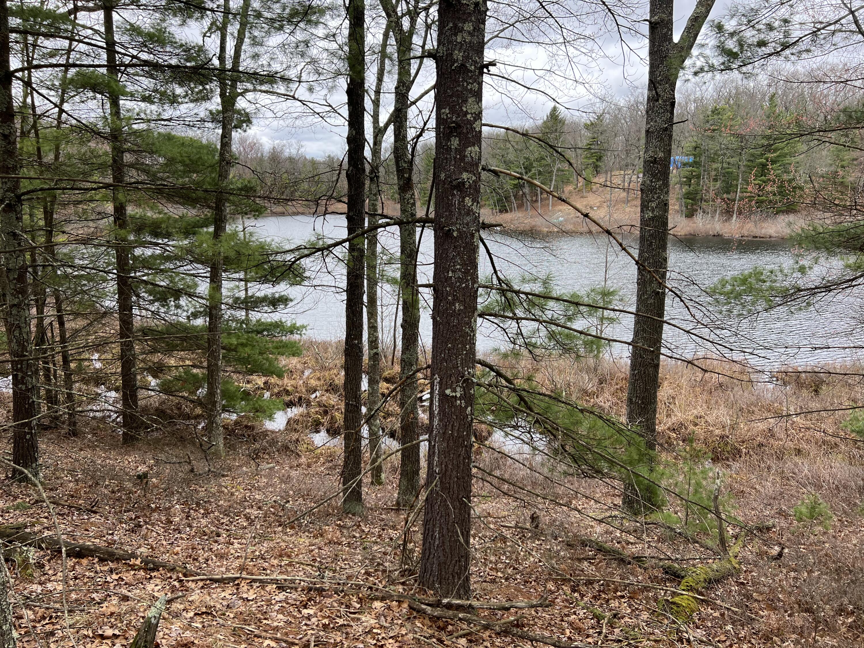VL Perch Lake Drive