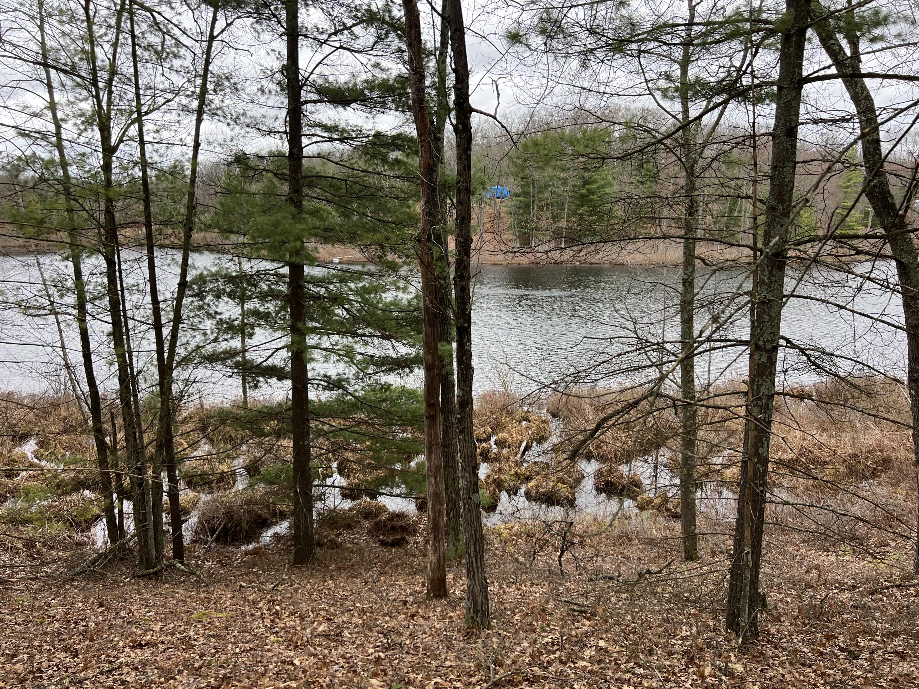 VL Perch Lake Drive